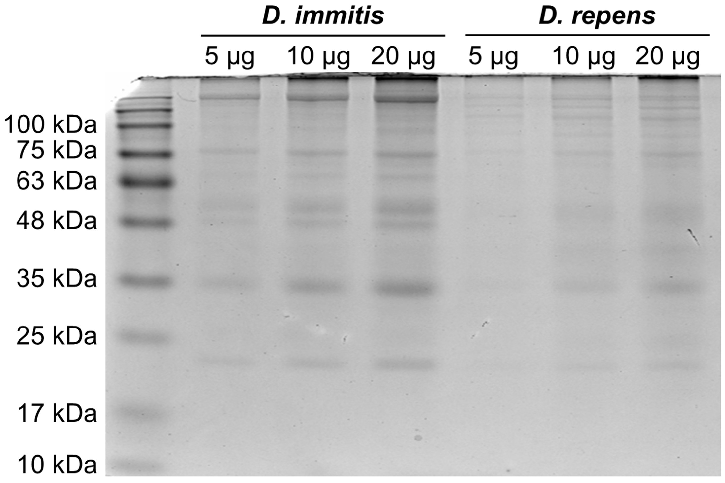 Animals 14 02529 g002