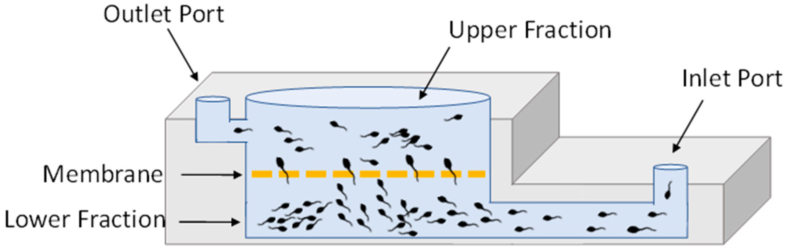 Animals 14 02544 g001