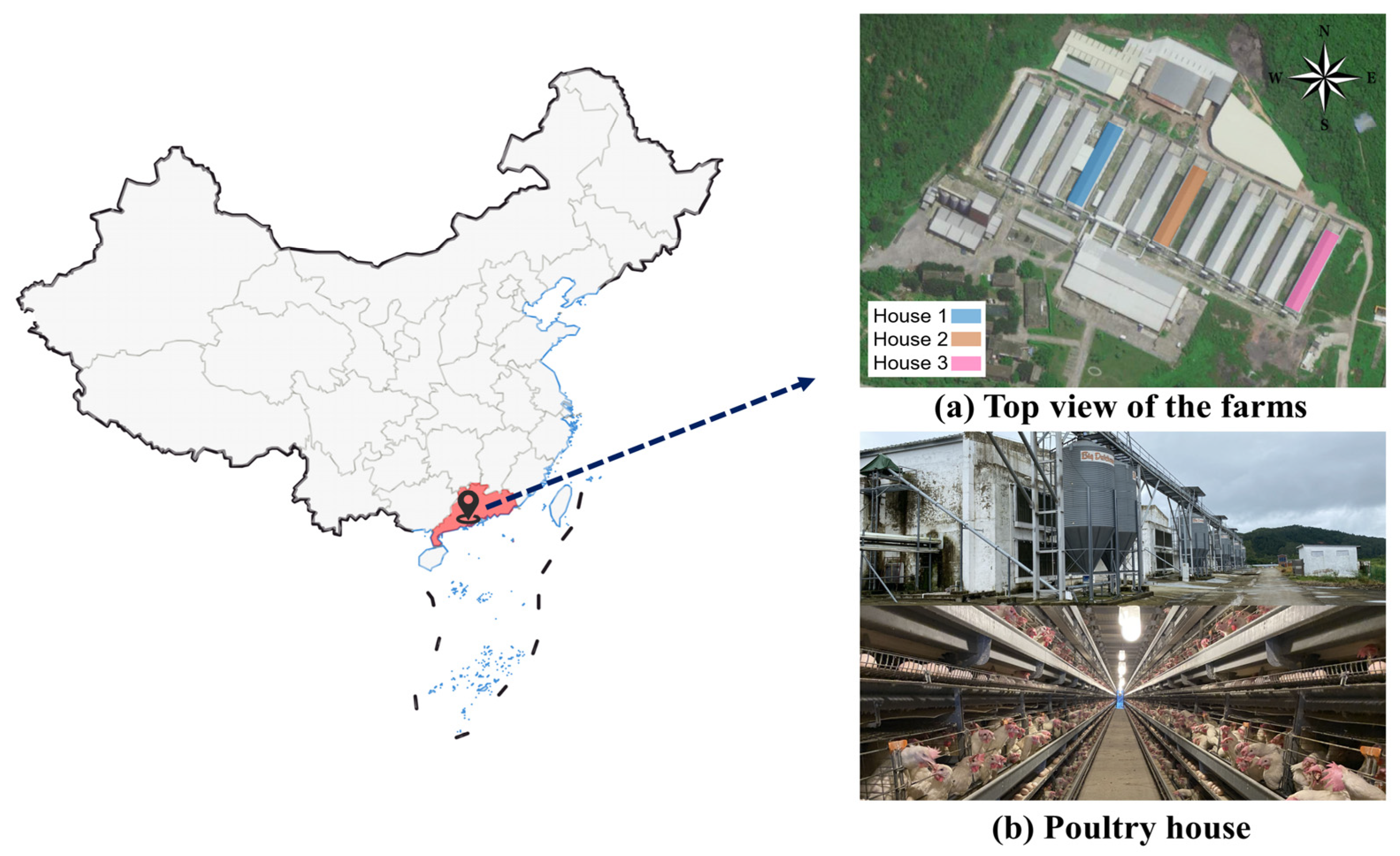 Animals 14 02554 g001