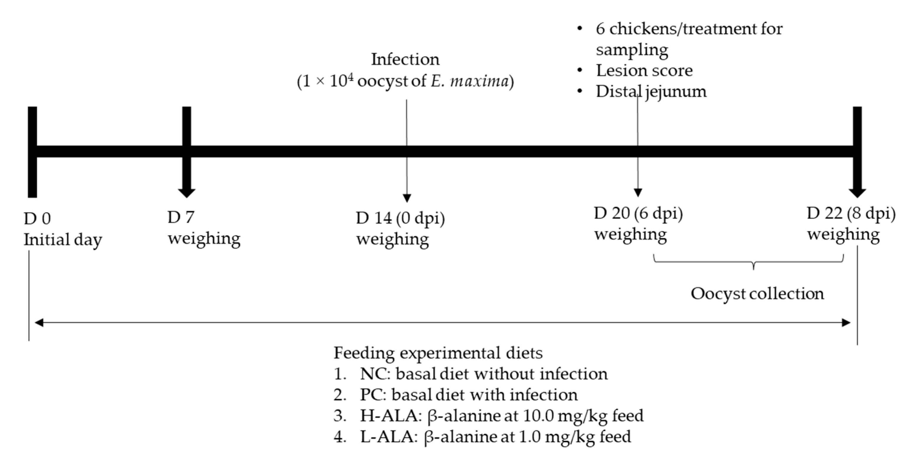 Animals 14 02558 g001