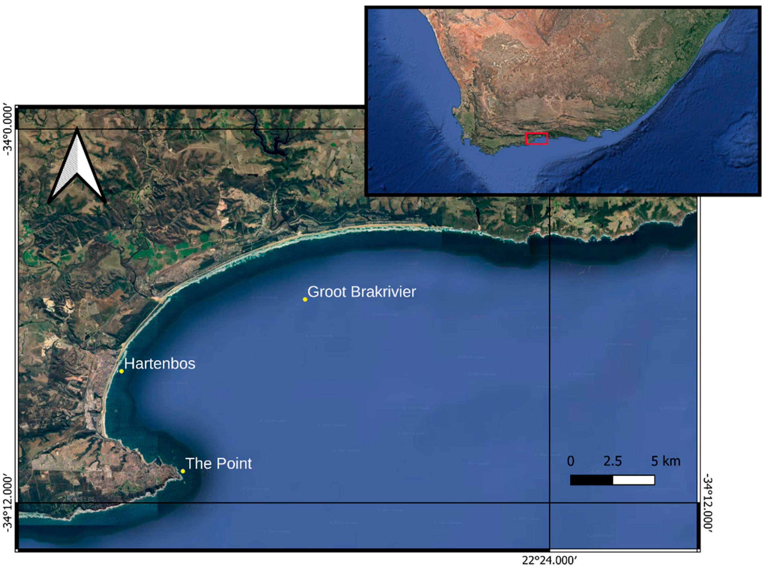 Animals 14 02559 g001 Animals 14 02559 g001