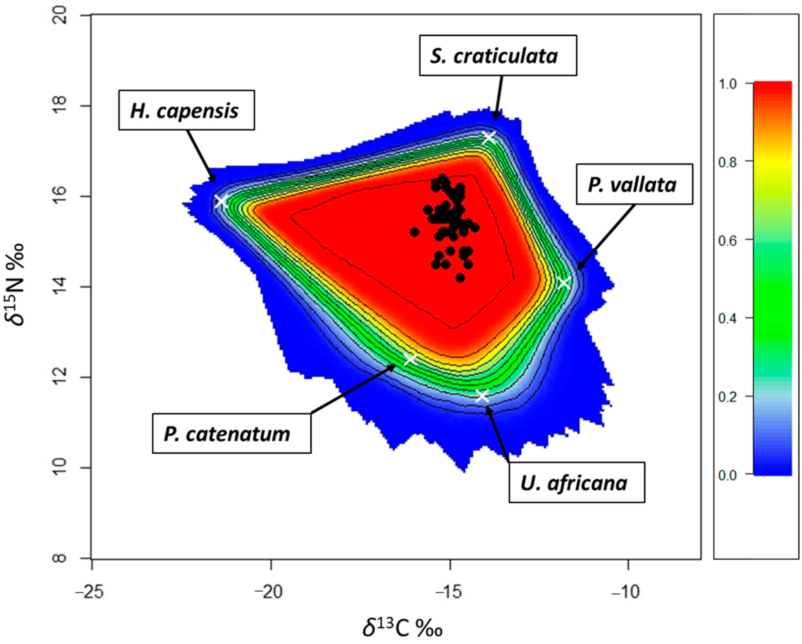 Animals 14 02559 g002 Animals 14 02559 g002