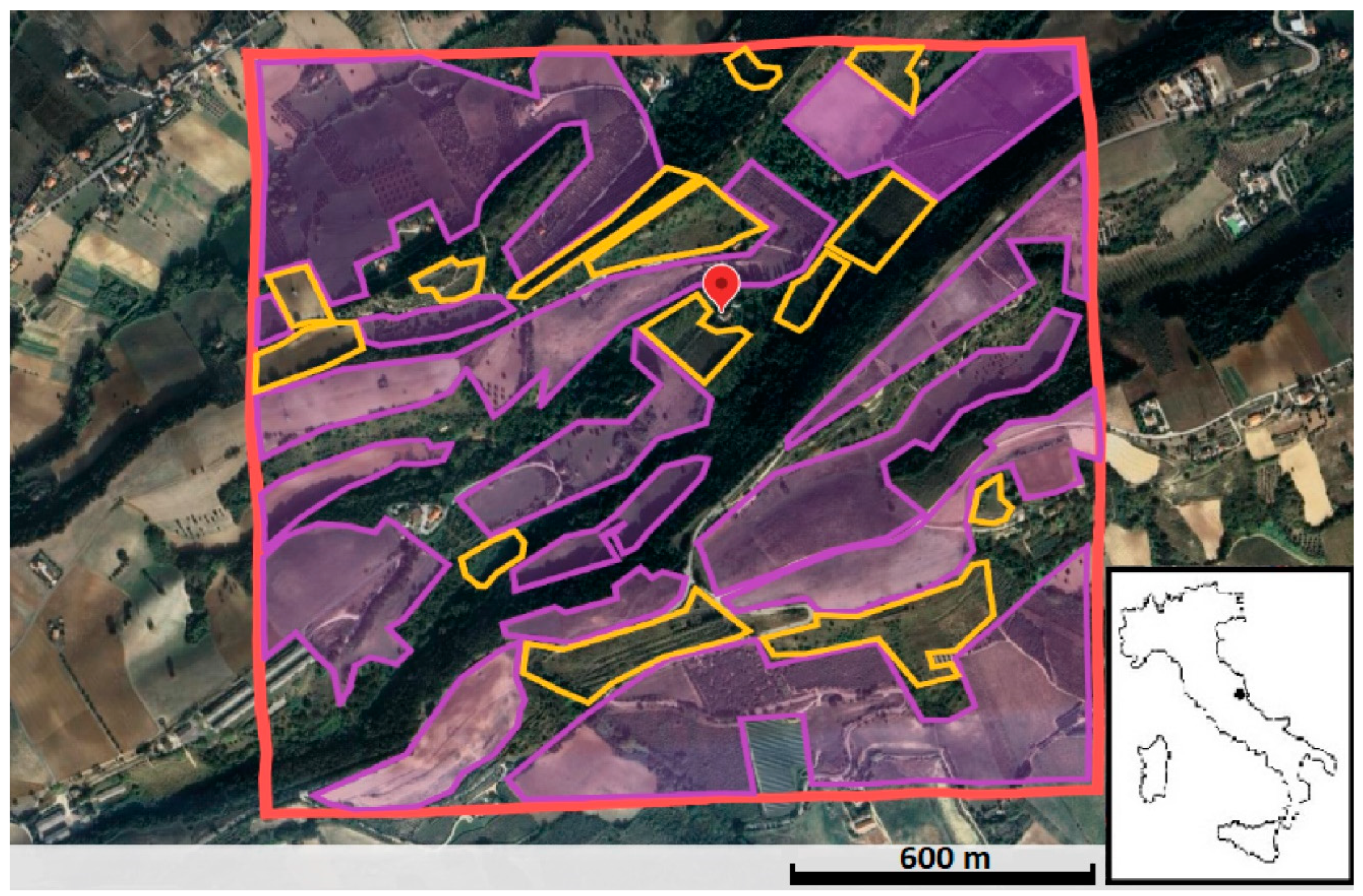 Animals 14 02562 g001