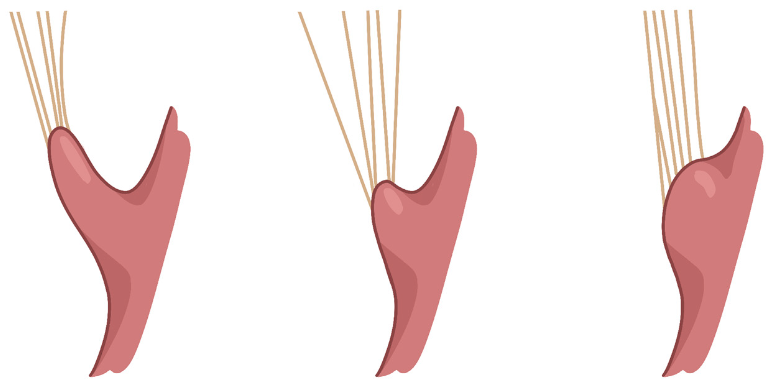 Animals 14 02563 sch001