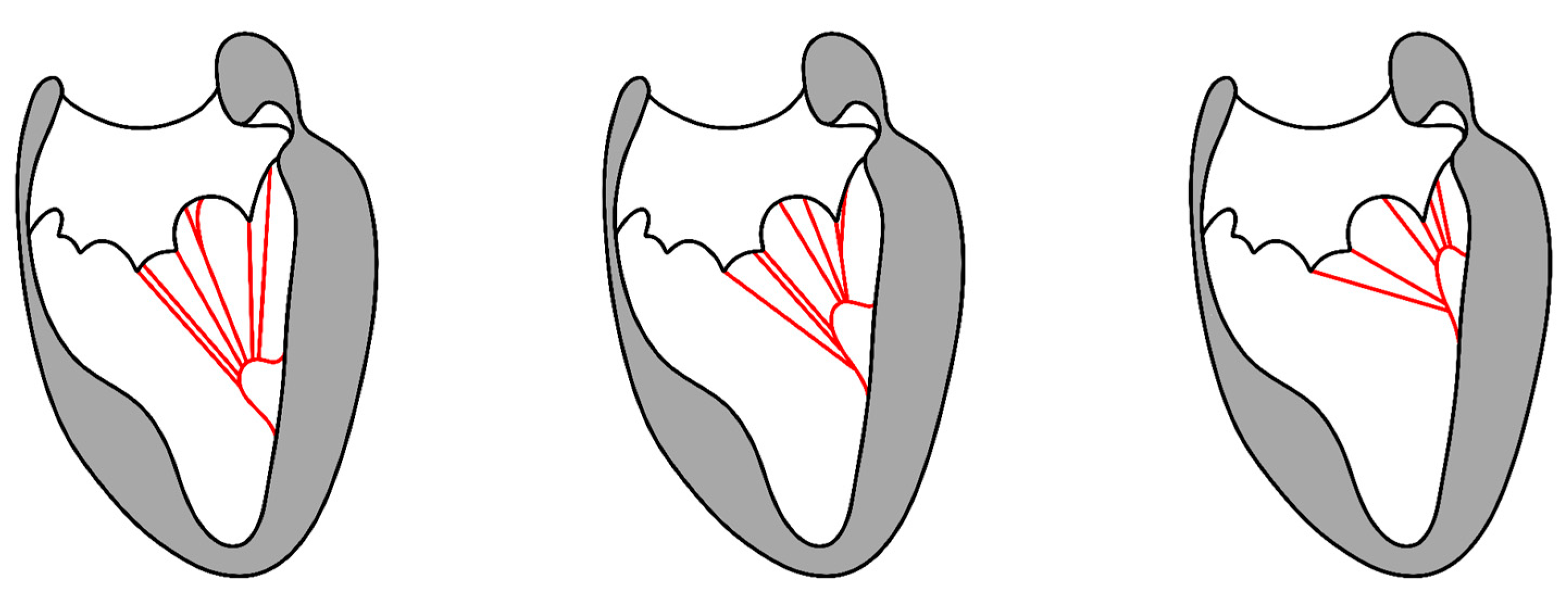 Animals 14 02563 sch002