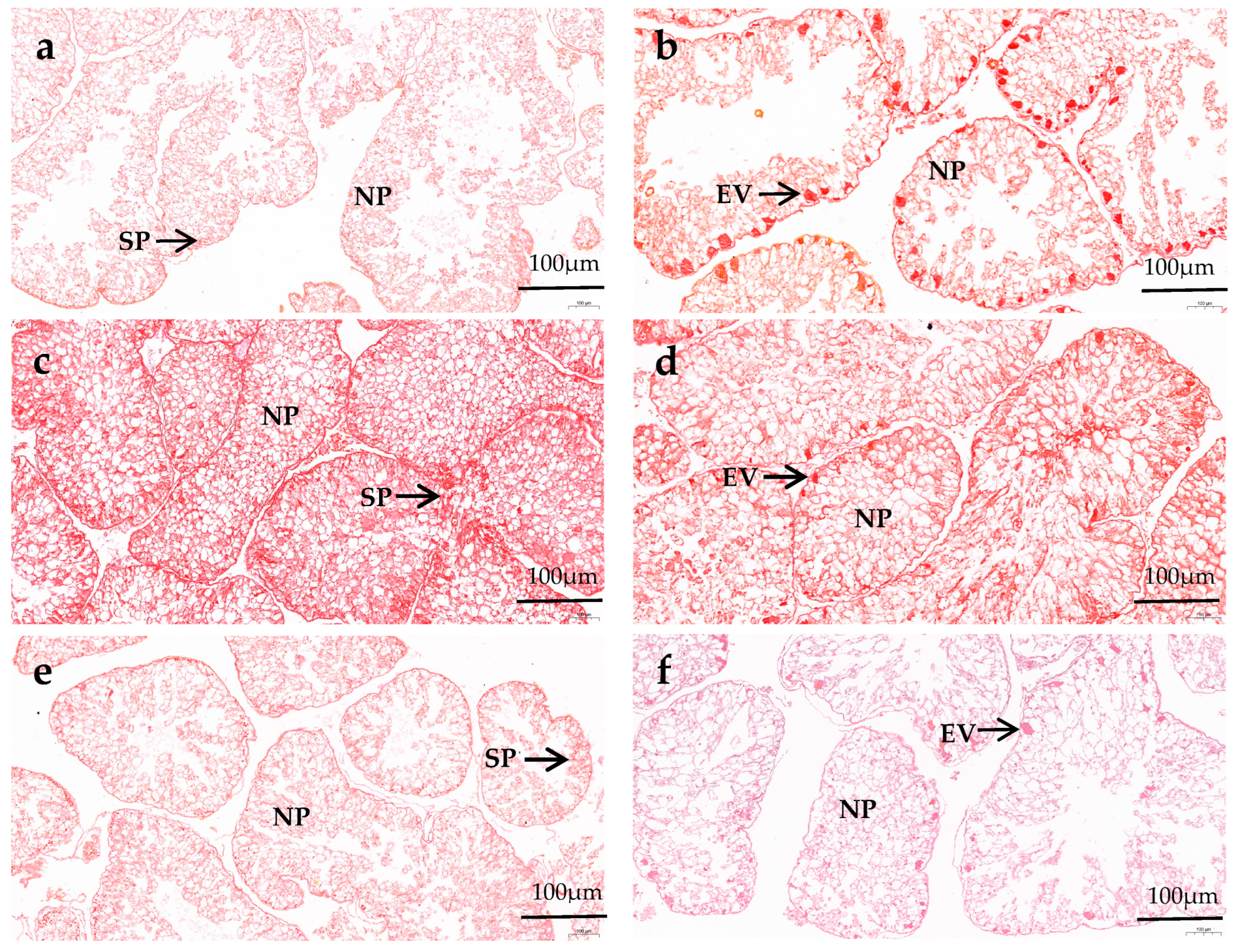Animals 14 02564 g001a