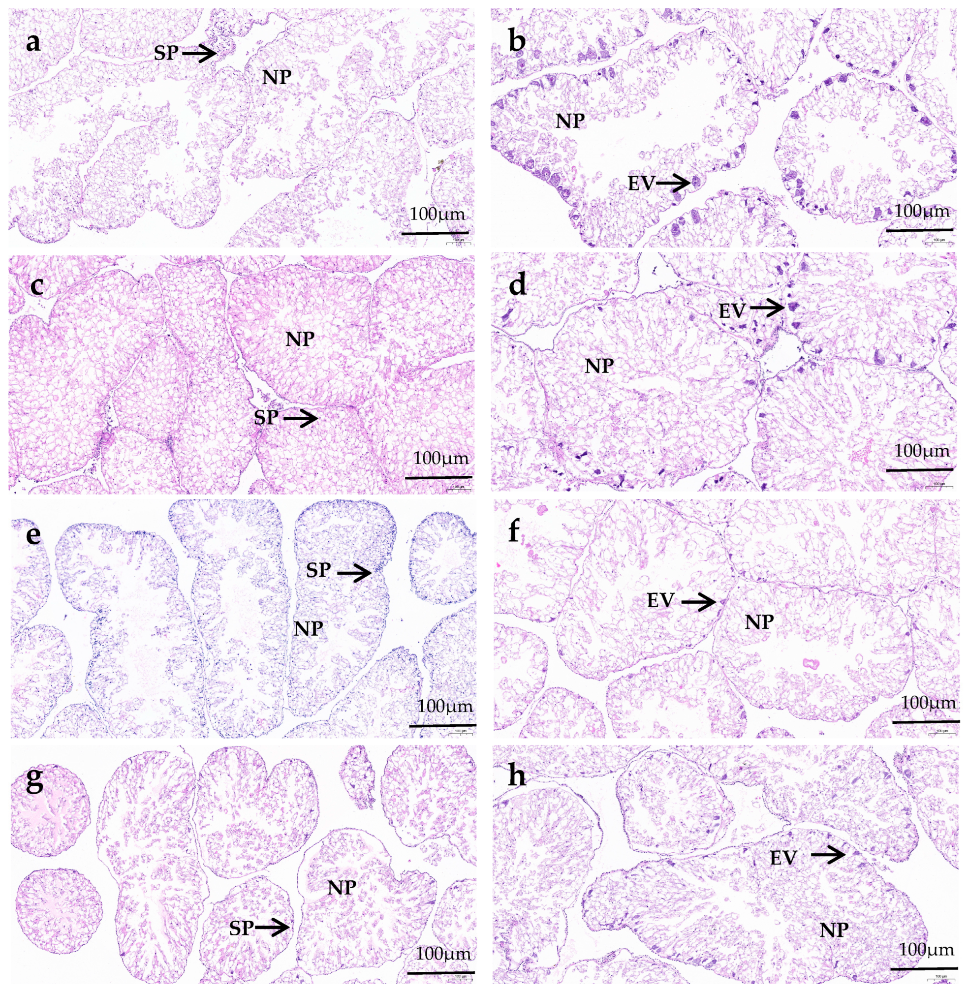 Animals 14 02564 g002