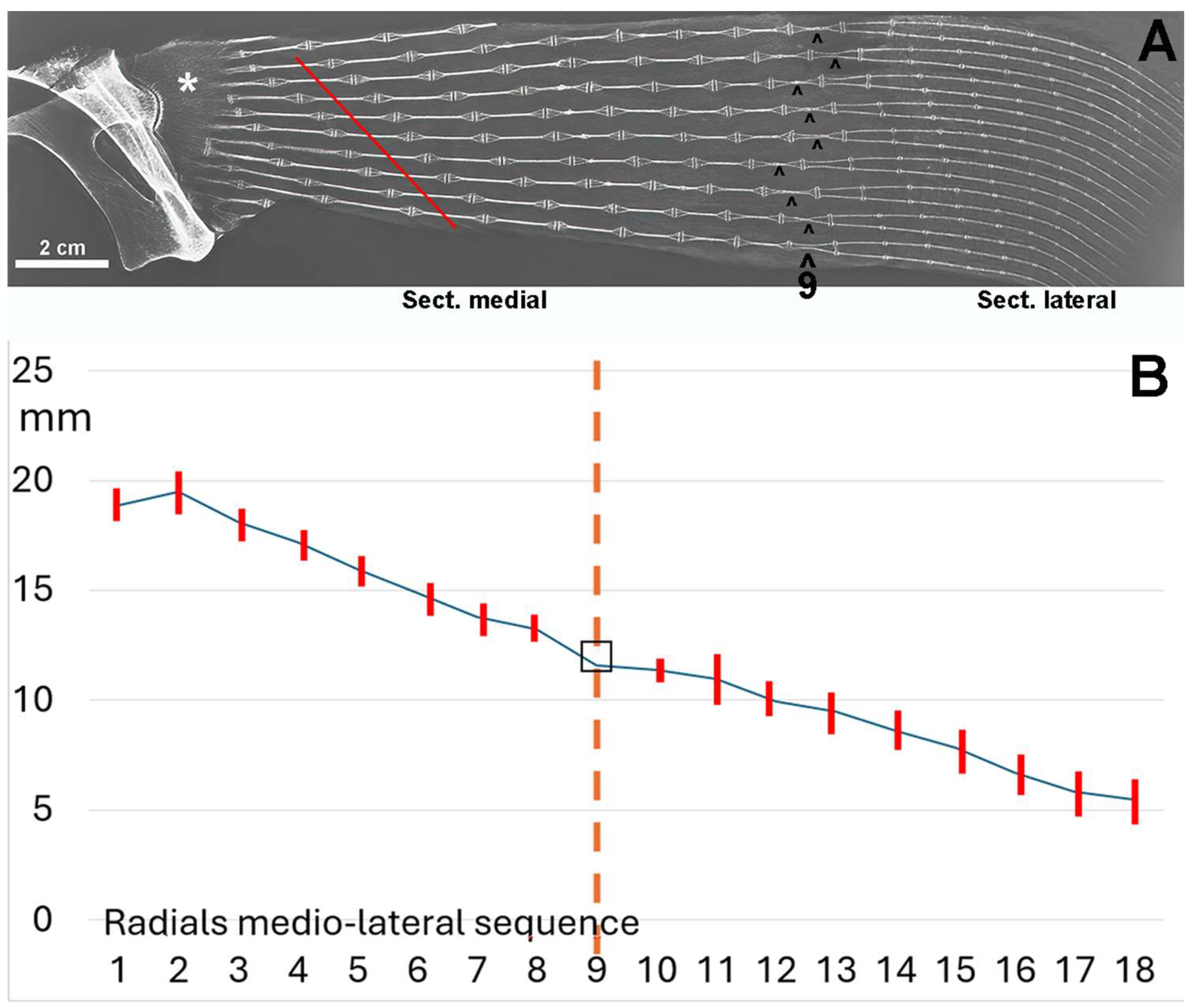 Animals 14 02575 g006 Animals 14 02575 g006