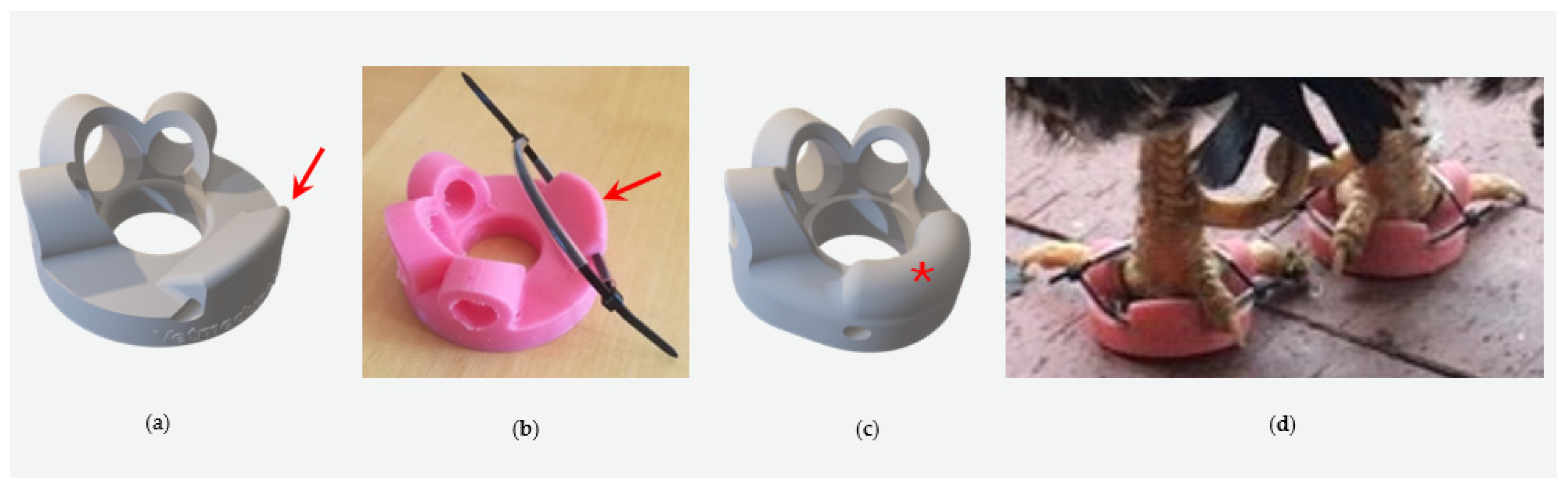 Animals 14 02581 g002