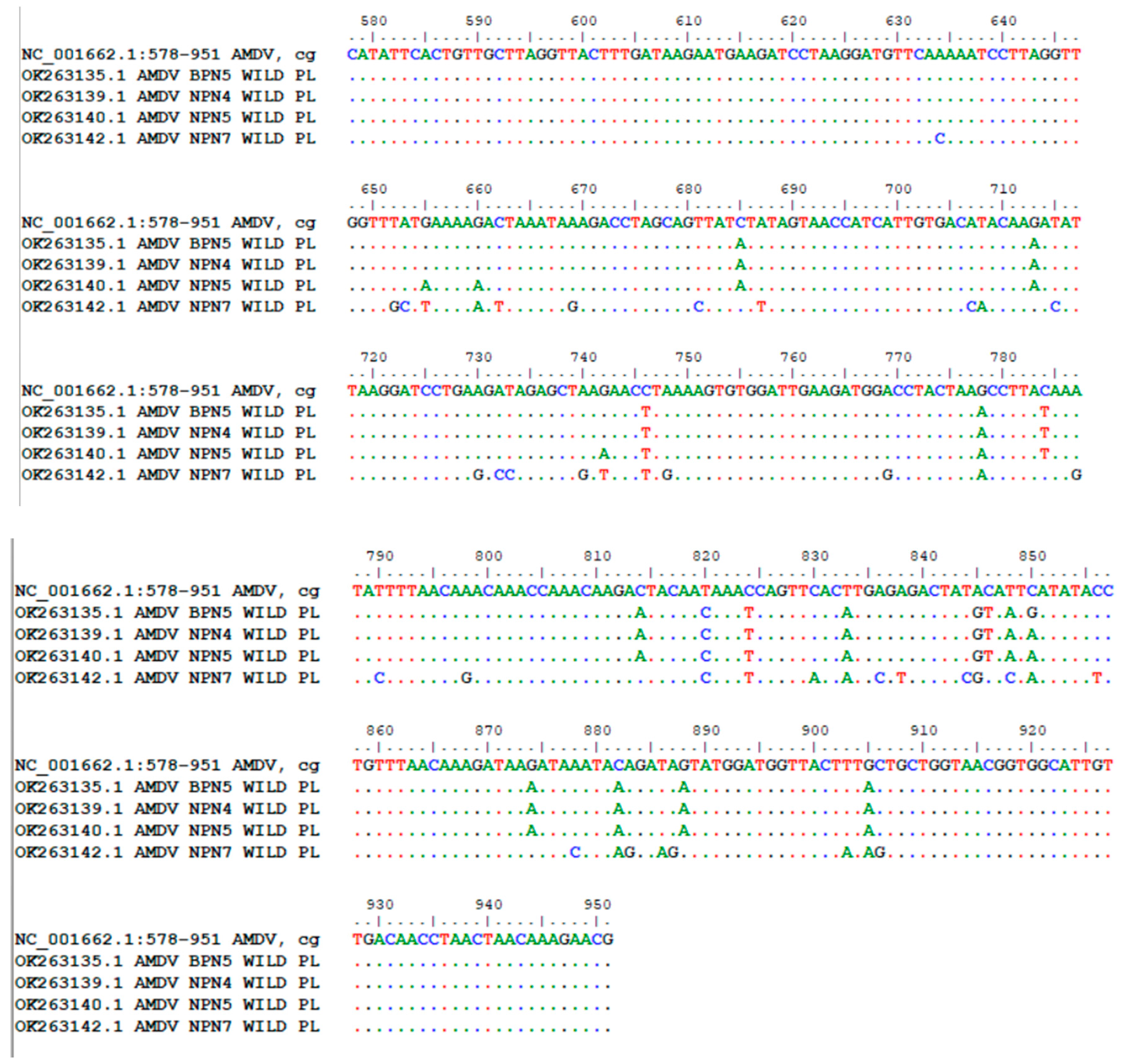 Animals 14 02584 g002
