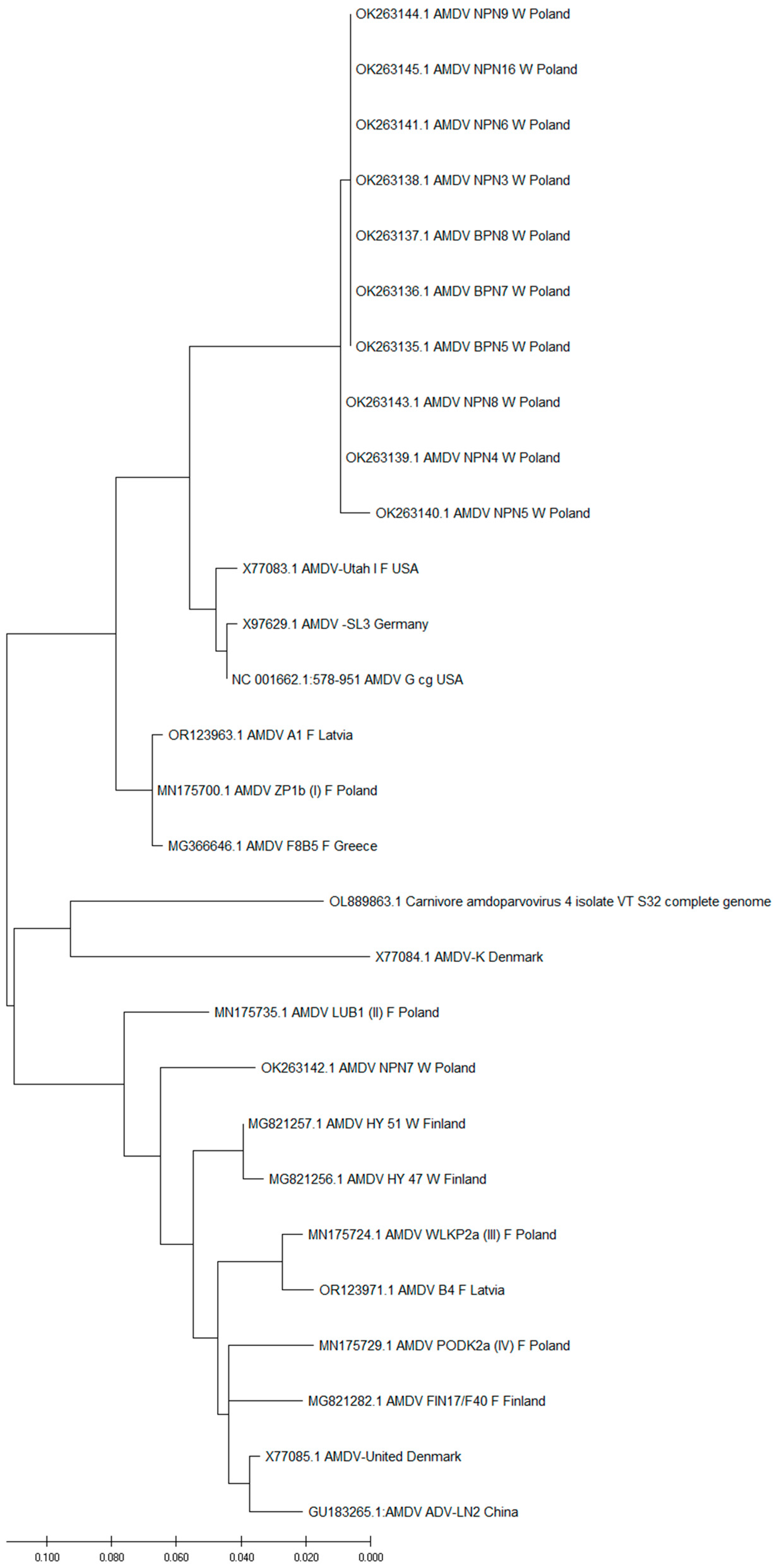 Animals 14 02584 g004