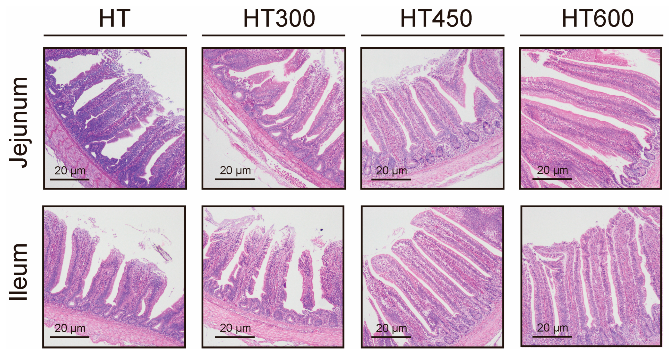 Animals 14 02585 g002