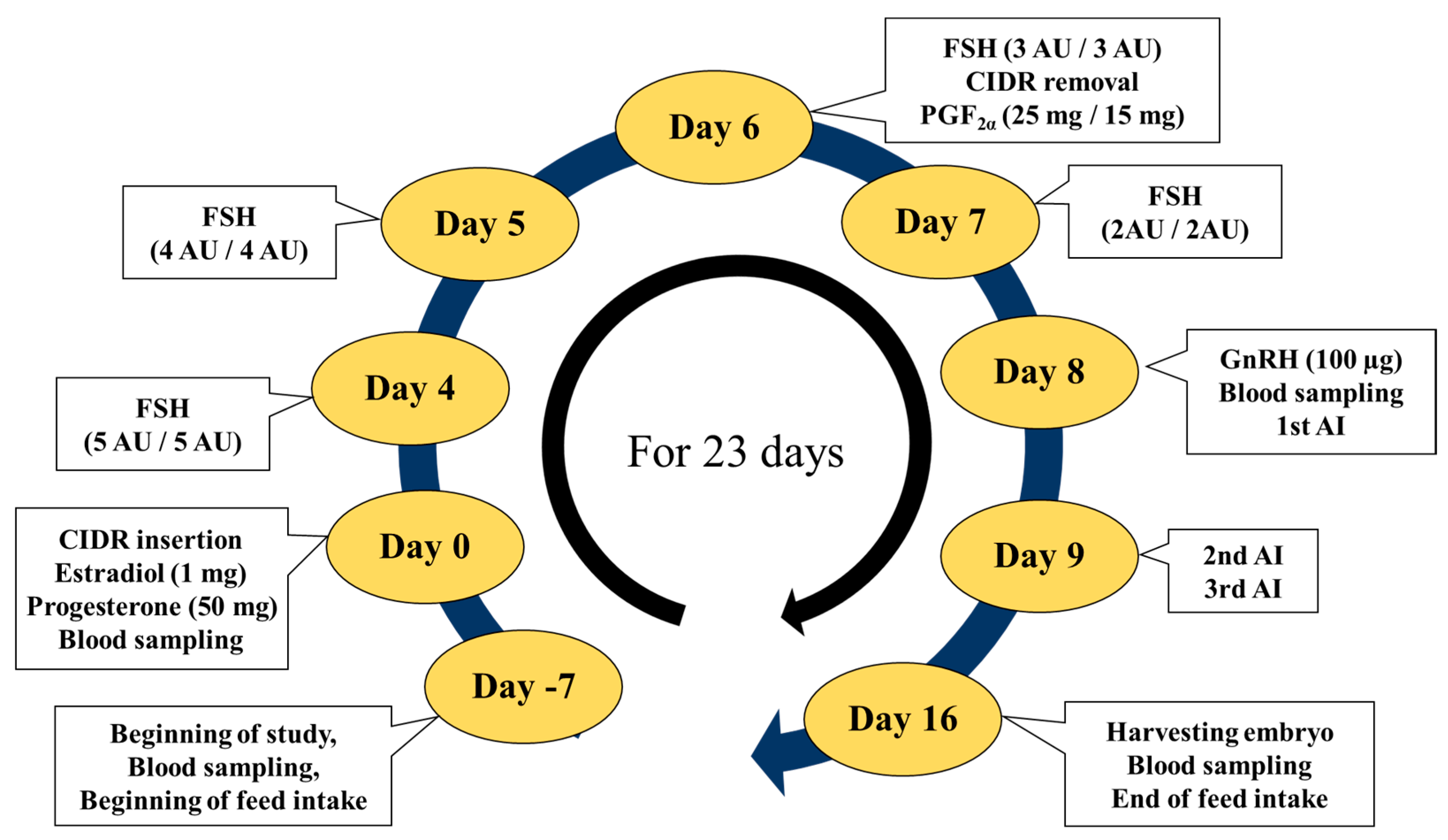 Animals 14 02591 g001