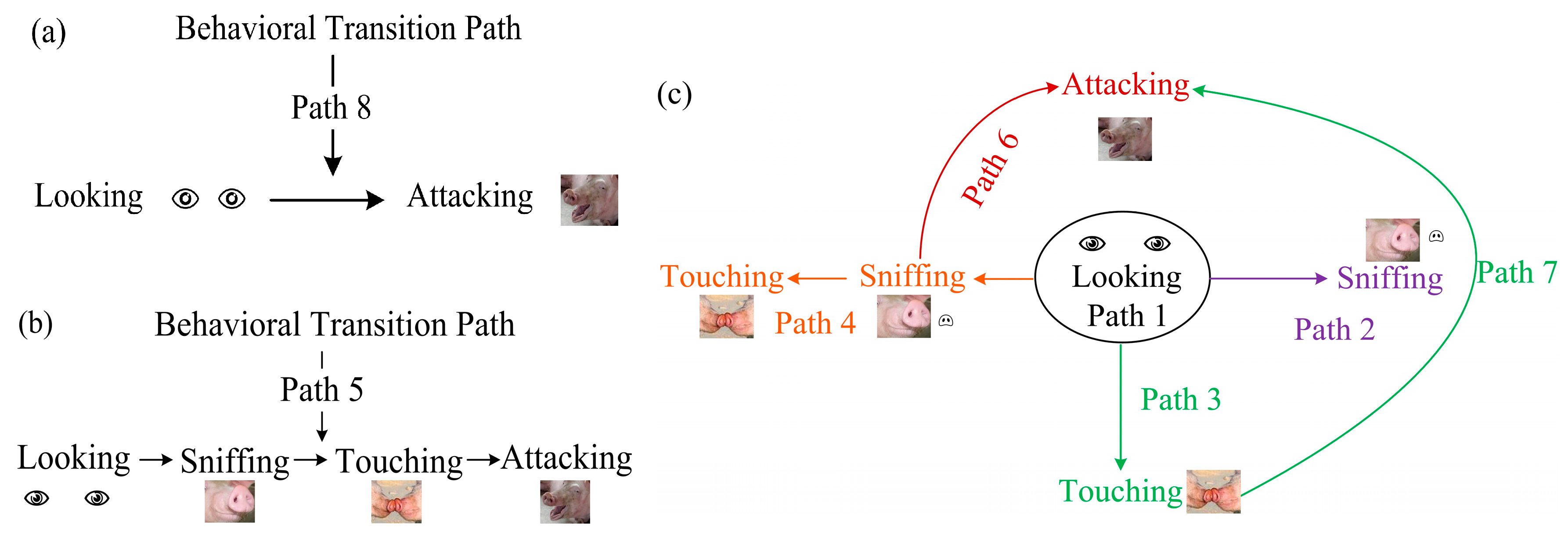 Animals 14 02595 g004