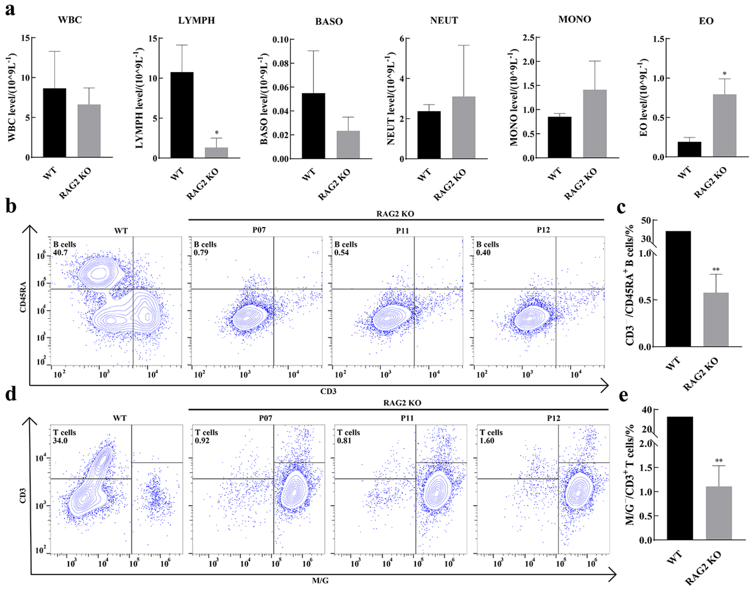 Animals 14 02597 g003