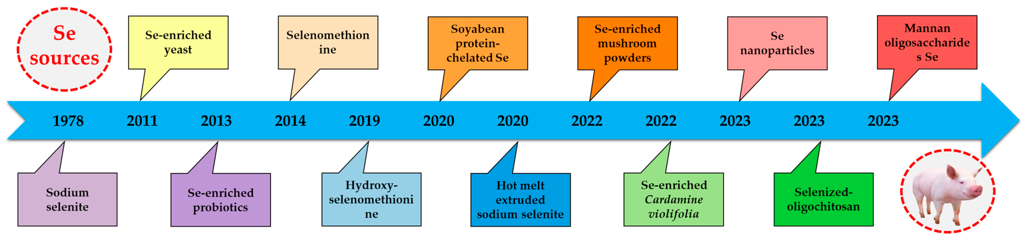 Animals 14 02599 g001