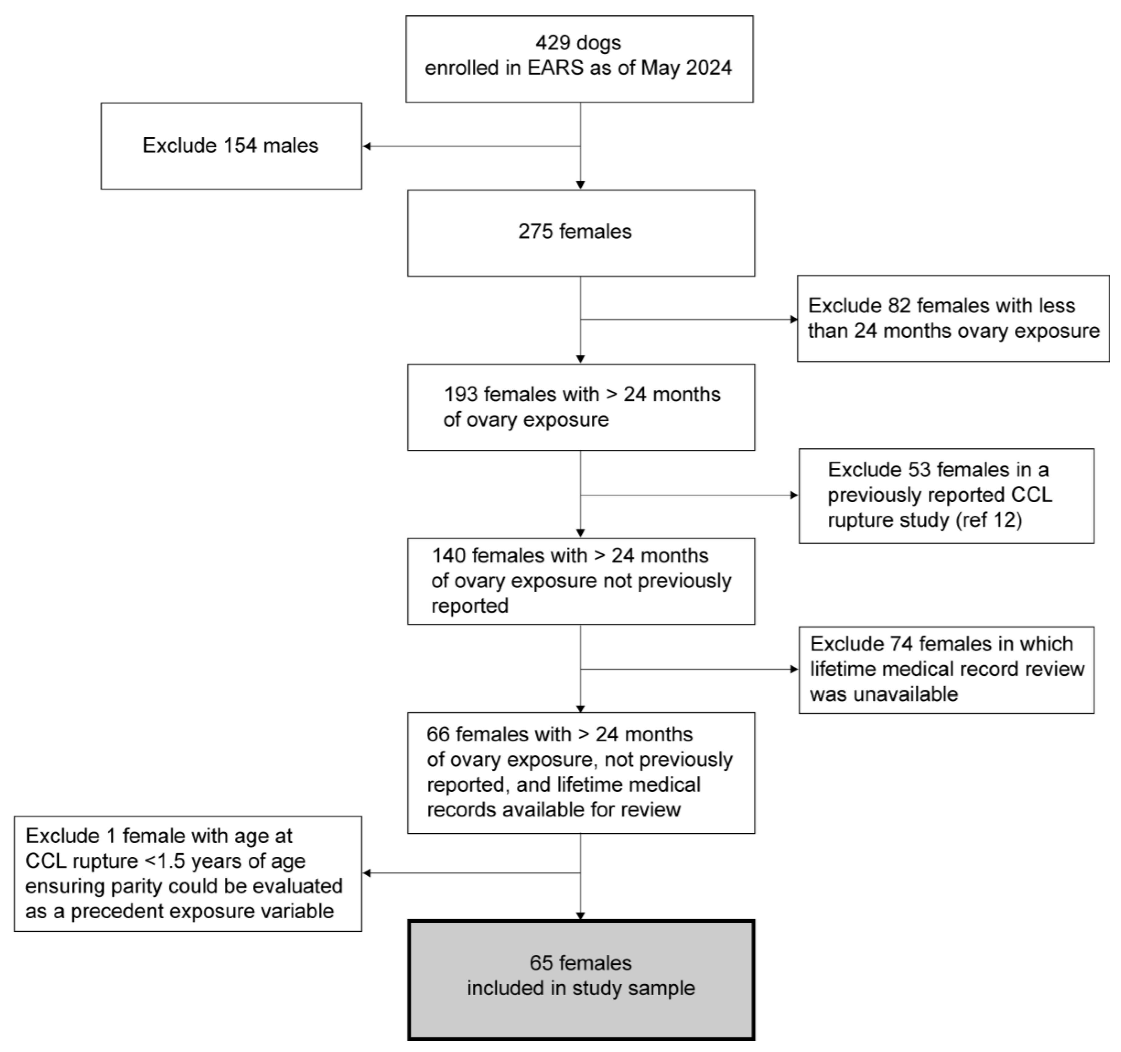 Animals 14 02608 g001