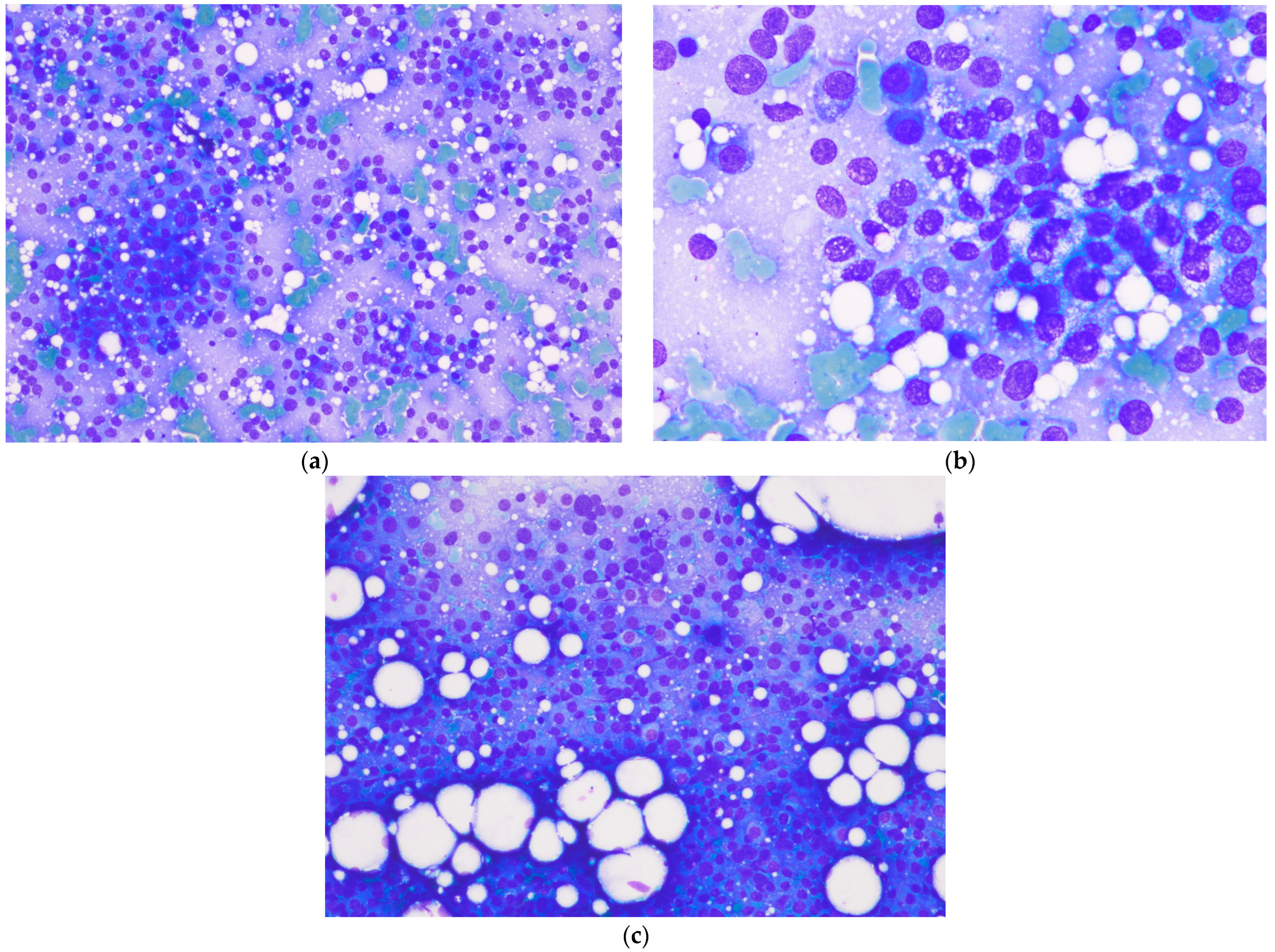 Animals 14 02618 g003