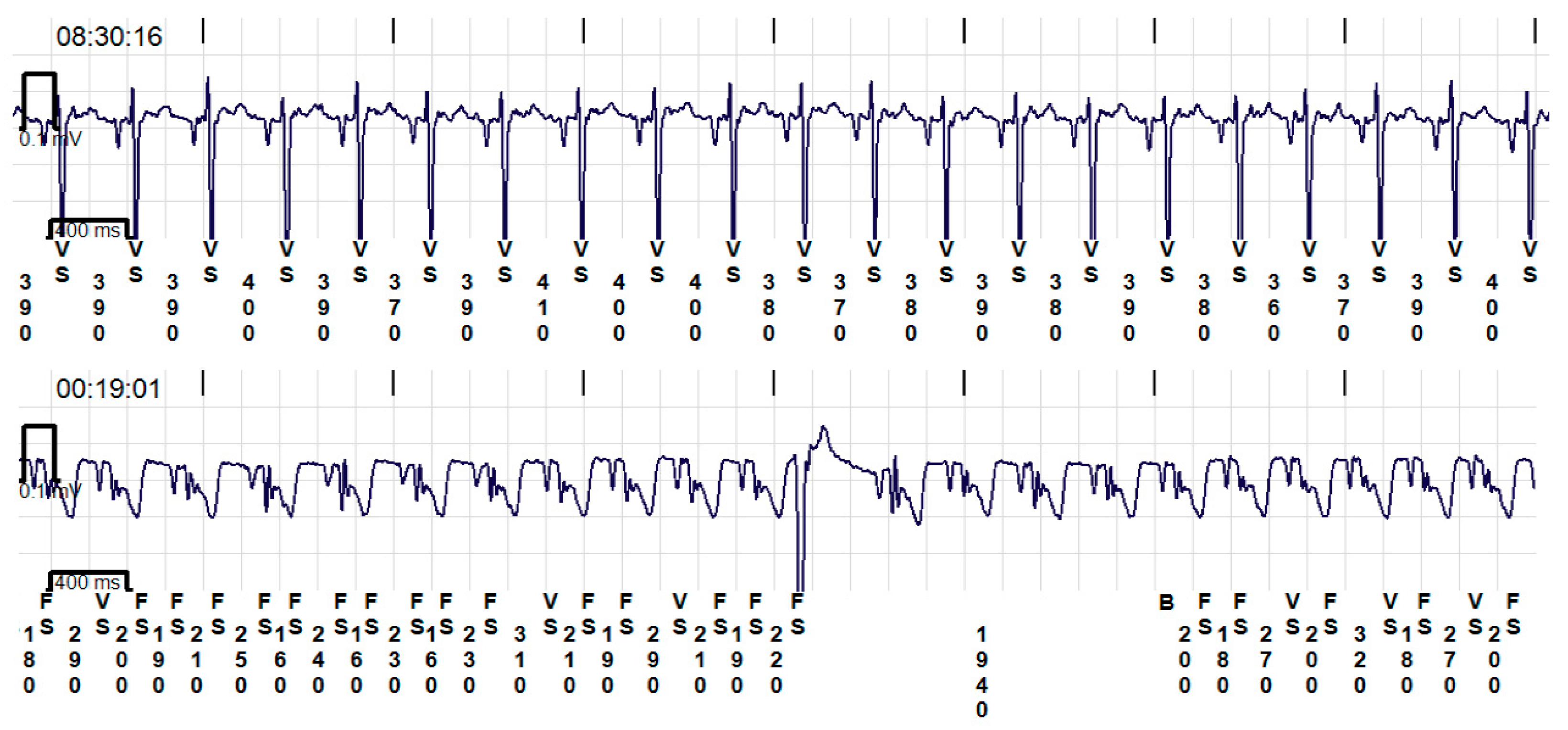 Animals 14 02629 g003