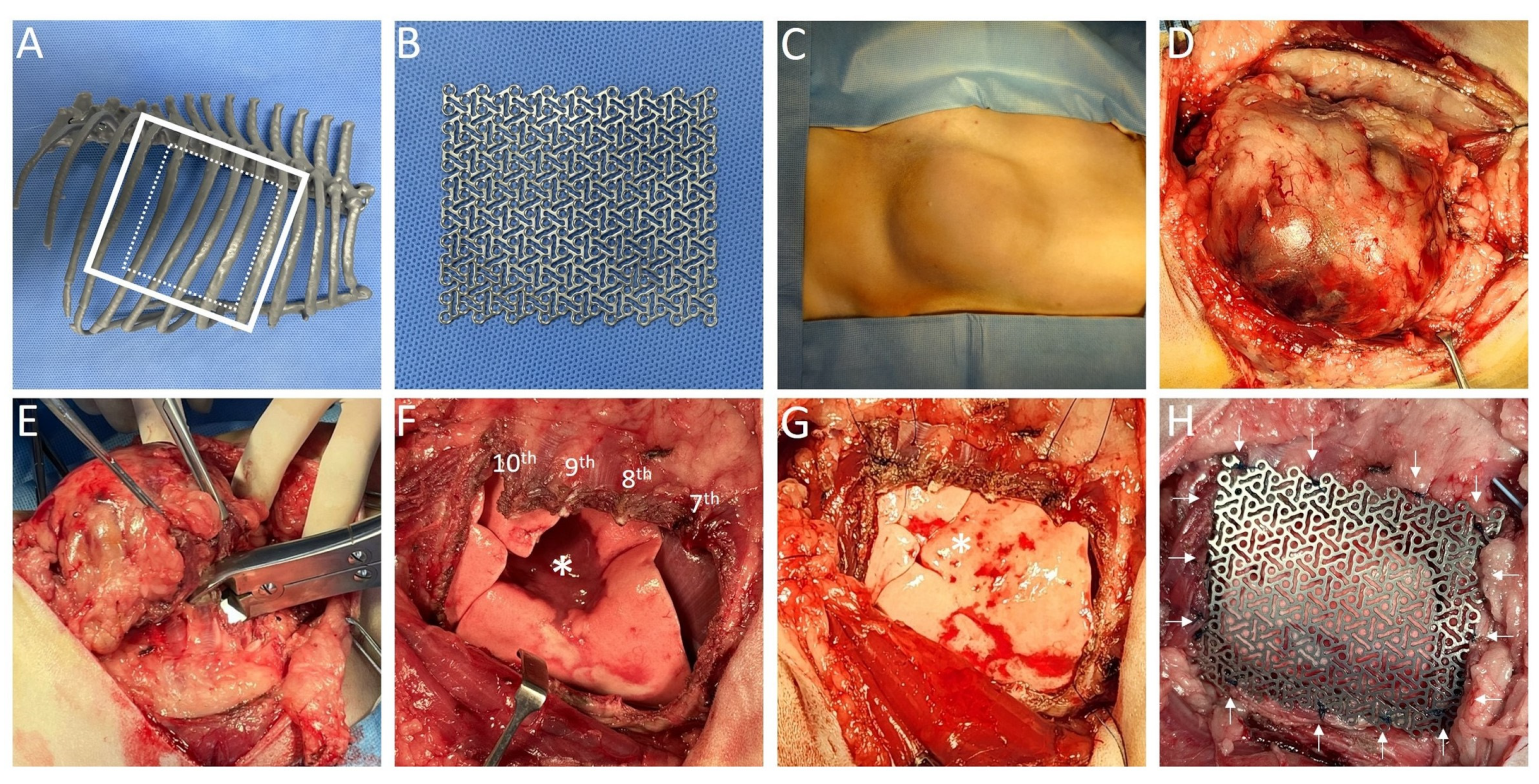 Animals 14 02635 g002