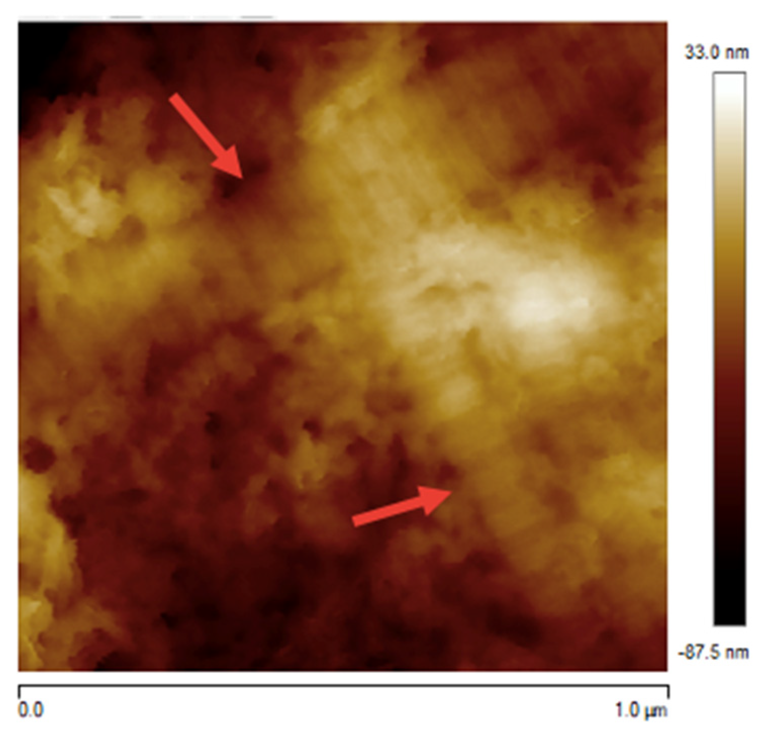 Animals 14 02665 g004