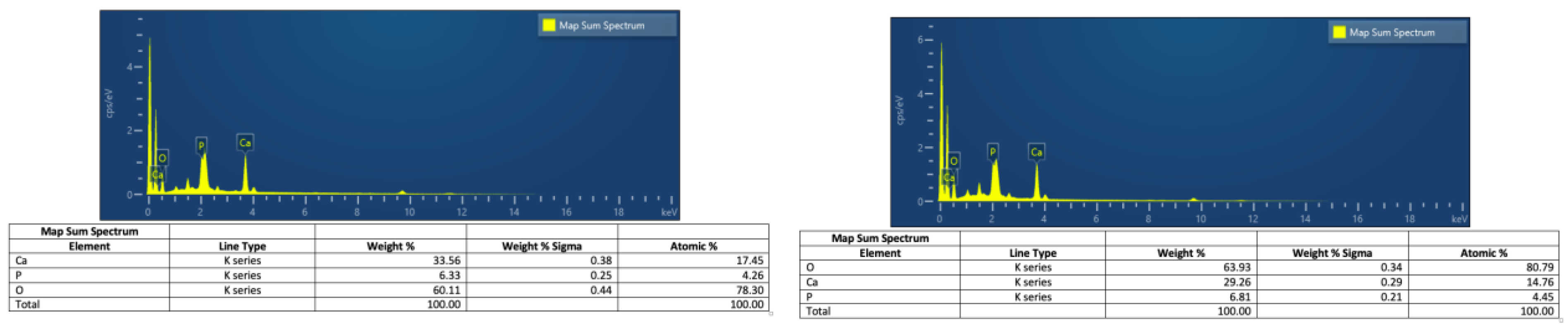 Animals 14 02665 g006