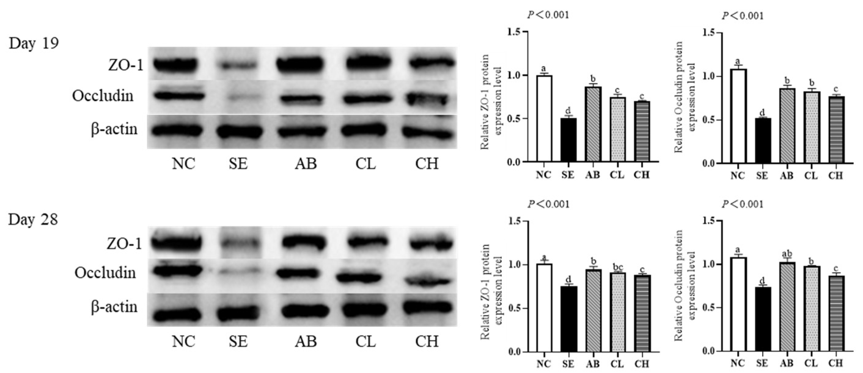 Animals 14 02670 g004