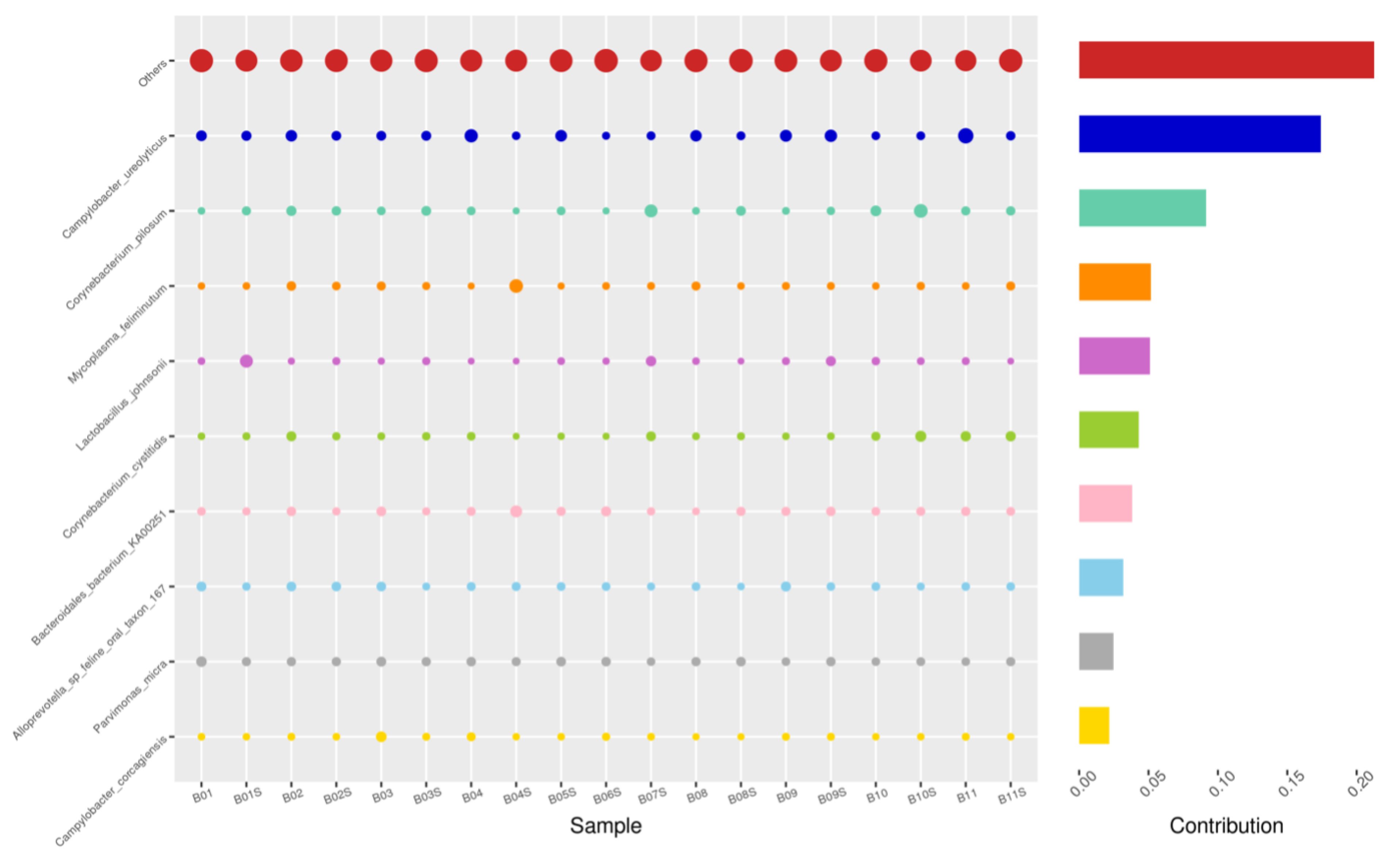 Animals 14 02689 g007