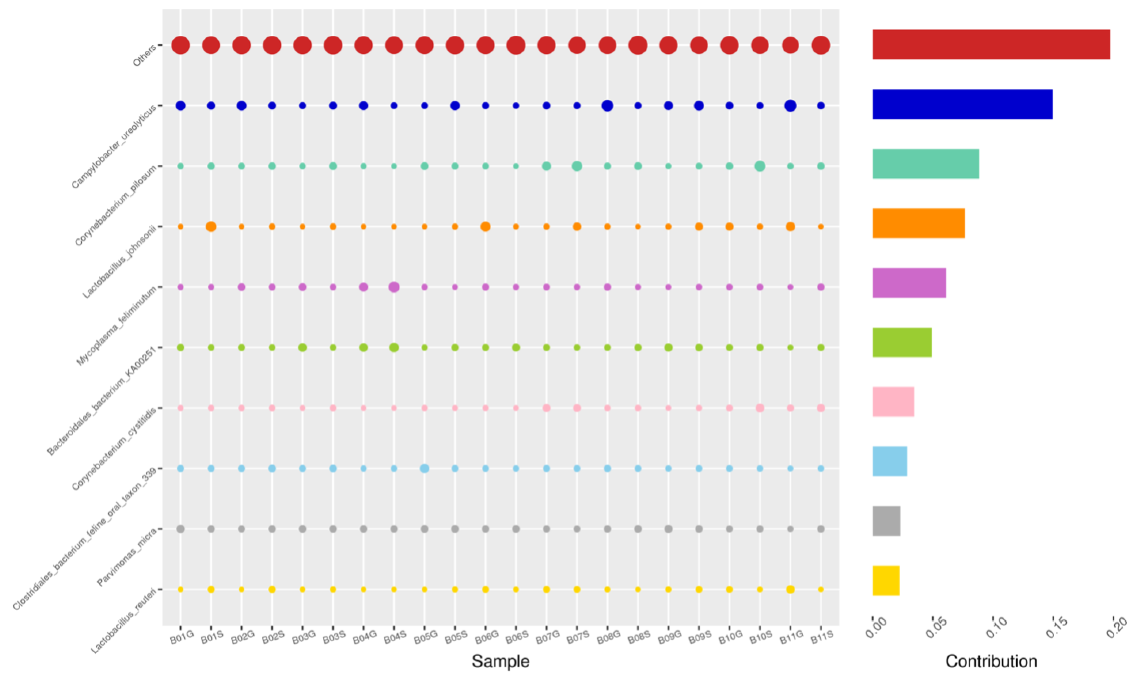 Animals 14 02689 g009