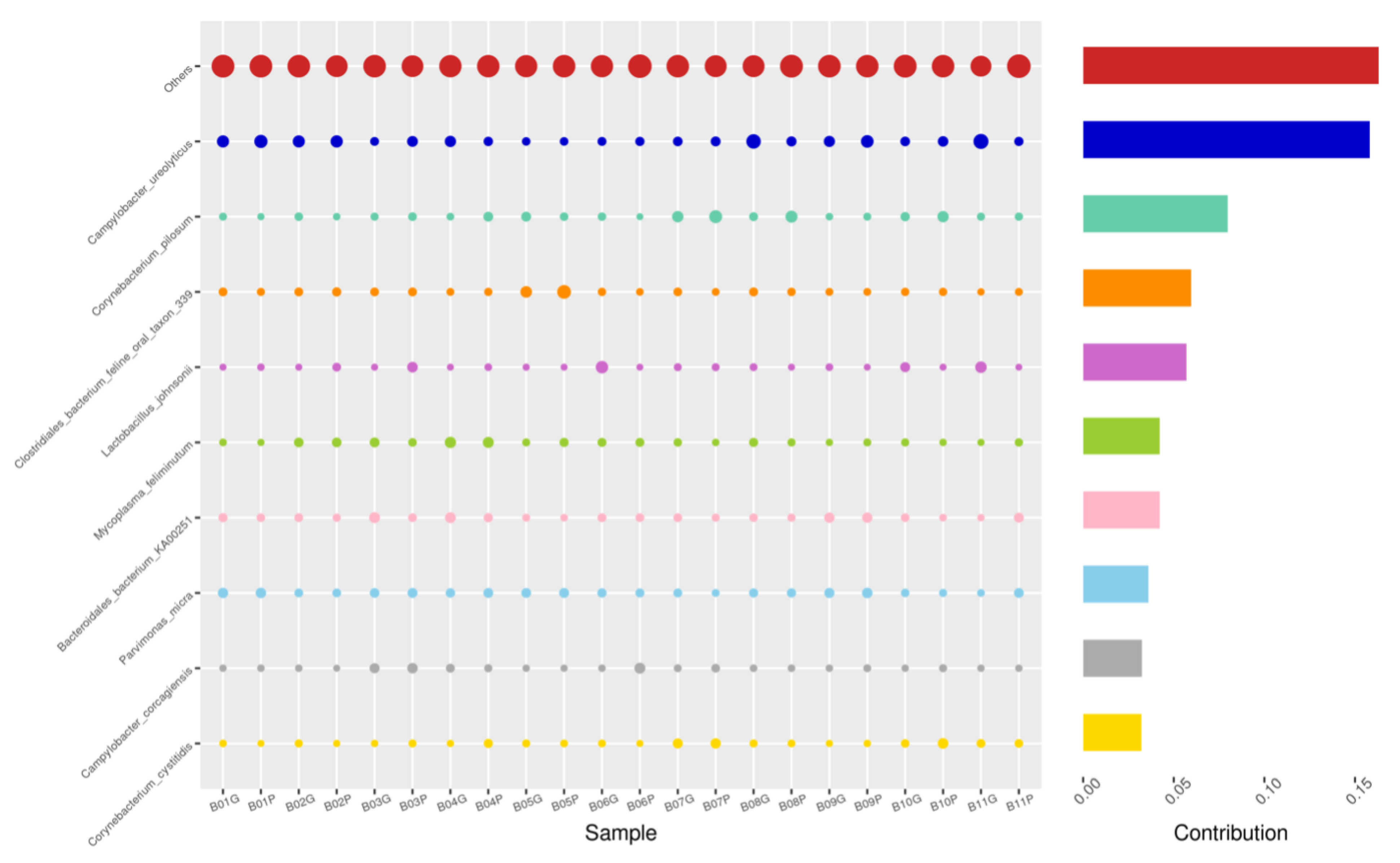 Animals 14 02689 g010