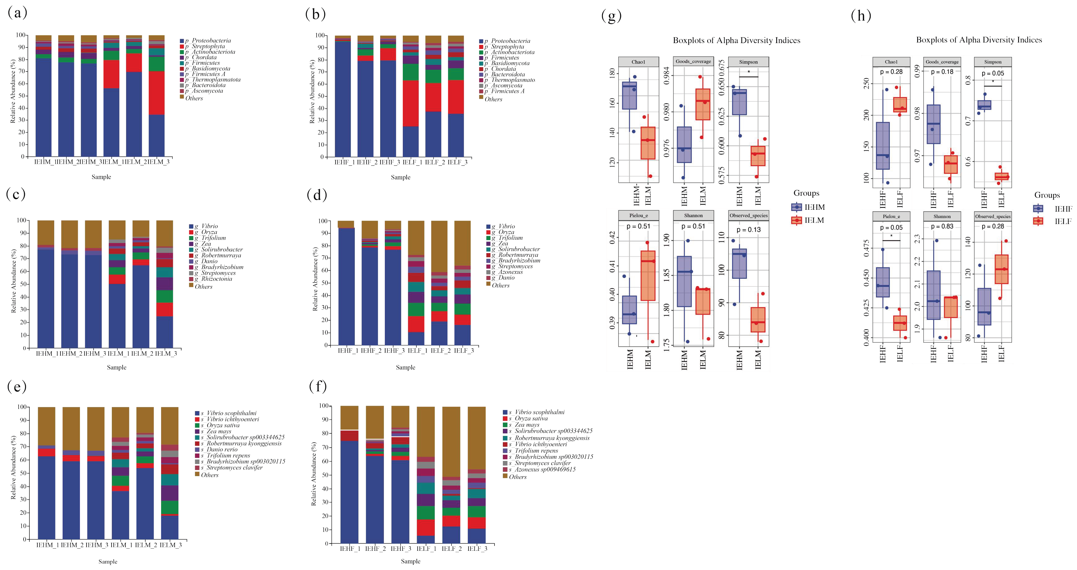 Animals 14 02690 g003