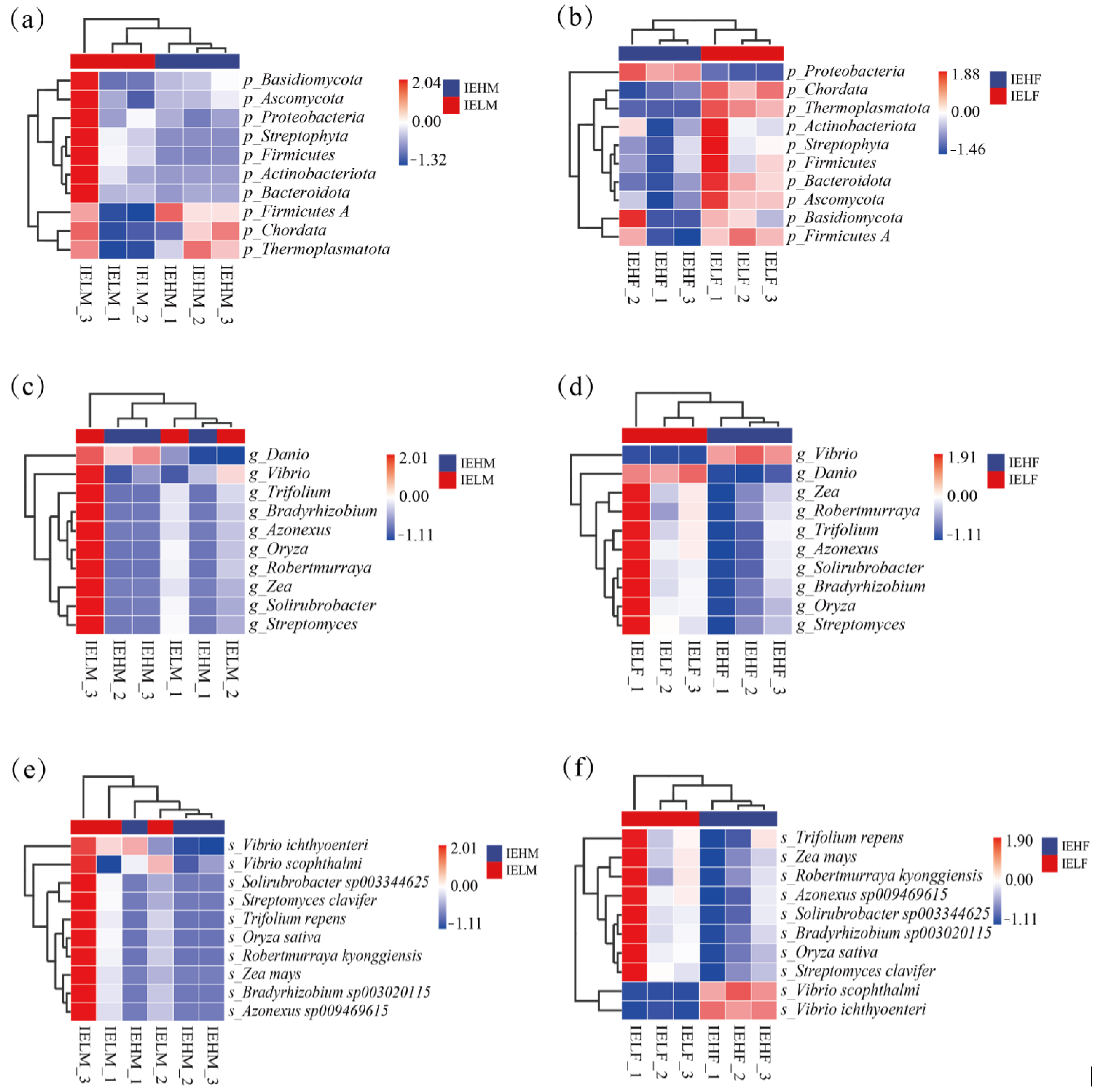 Animals 14 02690 g005