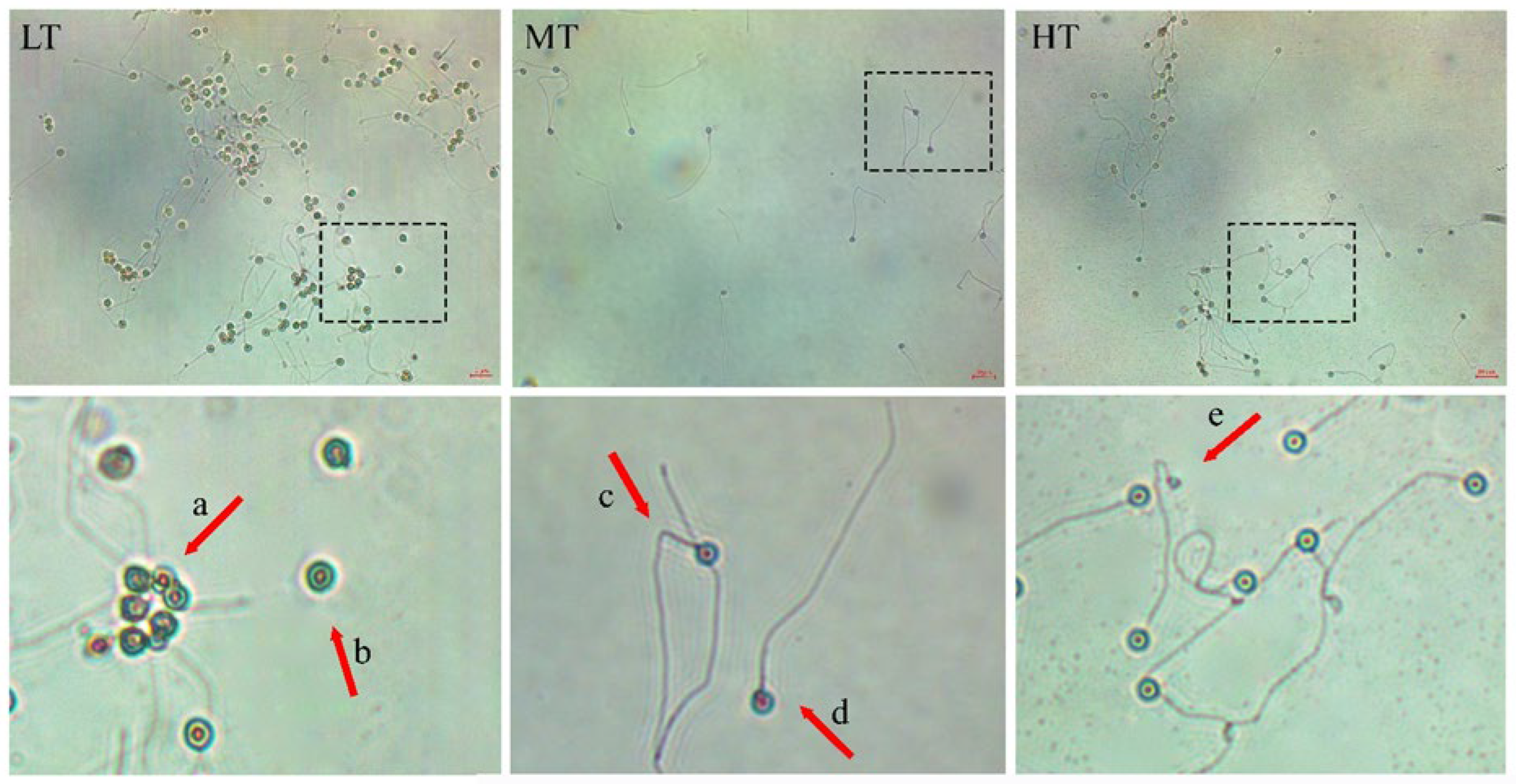 Animals 14 02701 g002