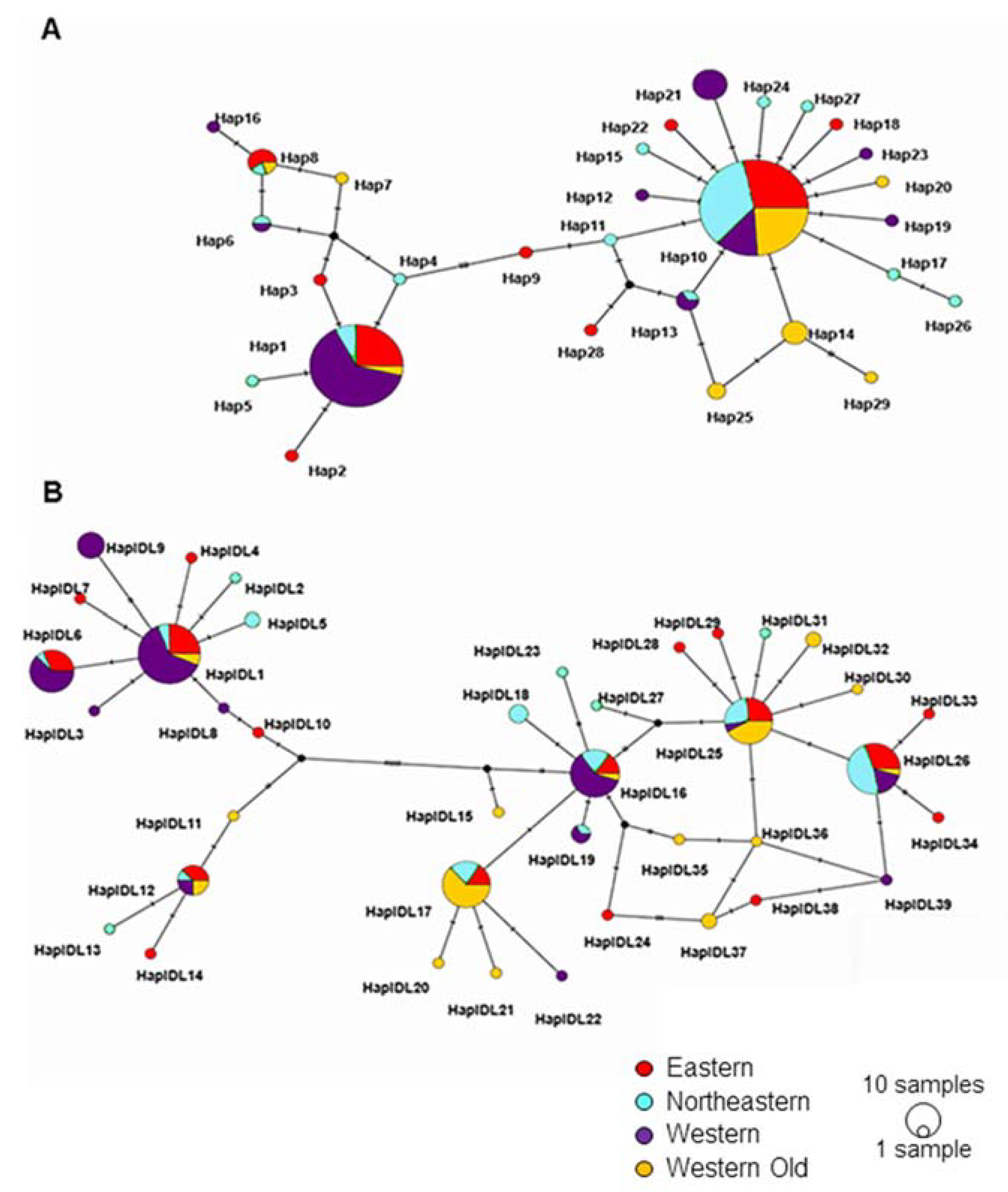Animals 14 02720 g003