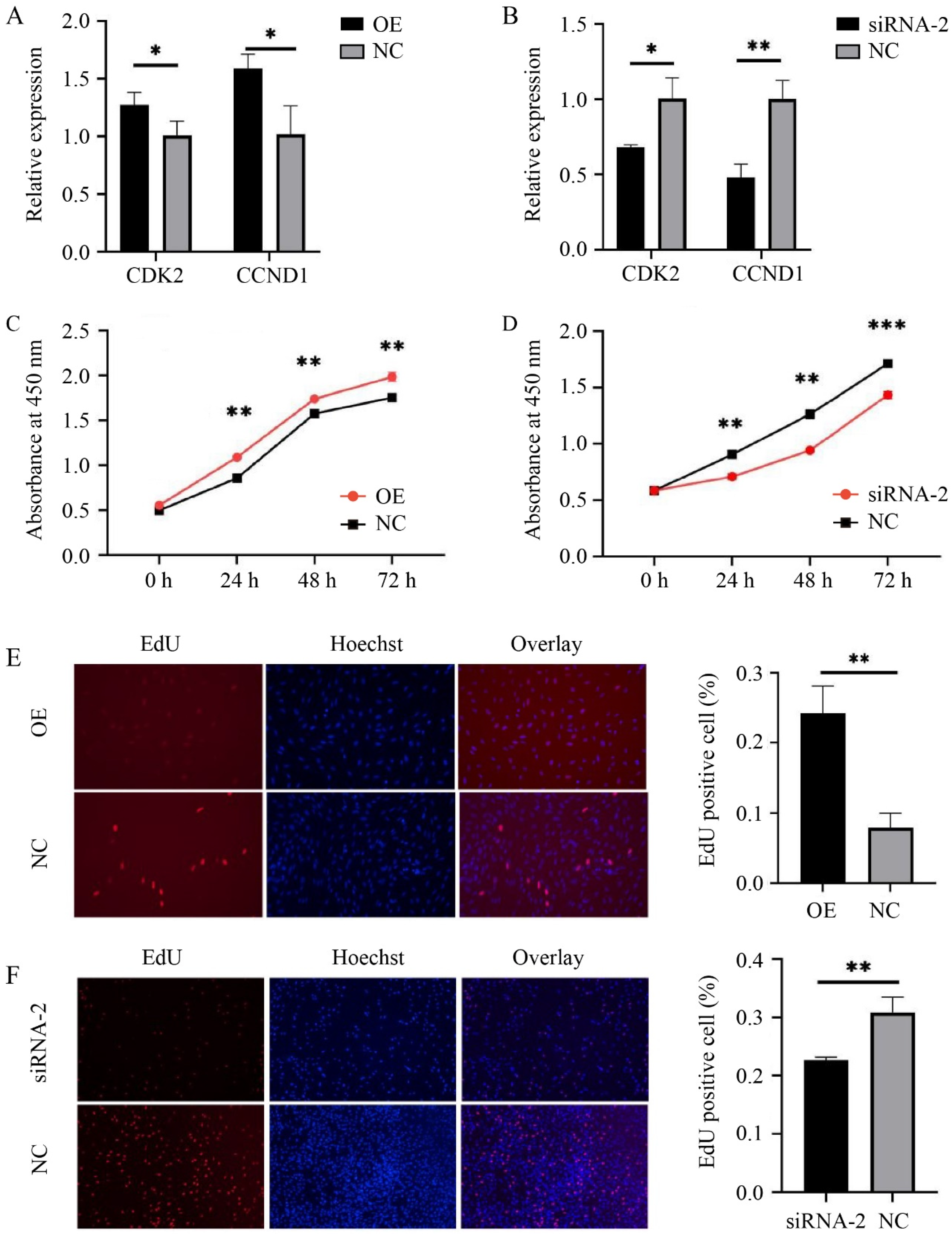 Animals 14 02721 g002