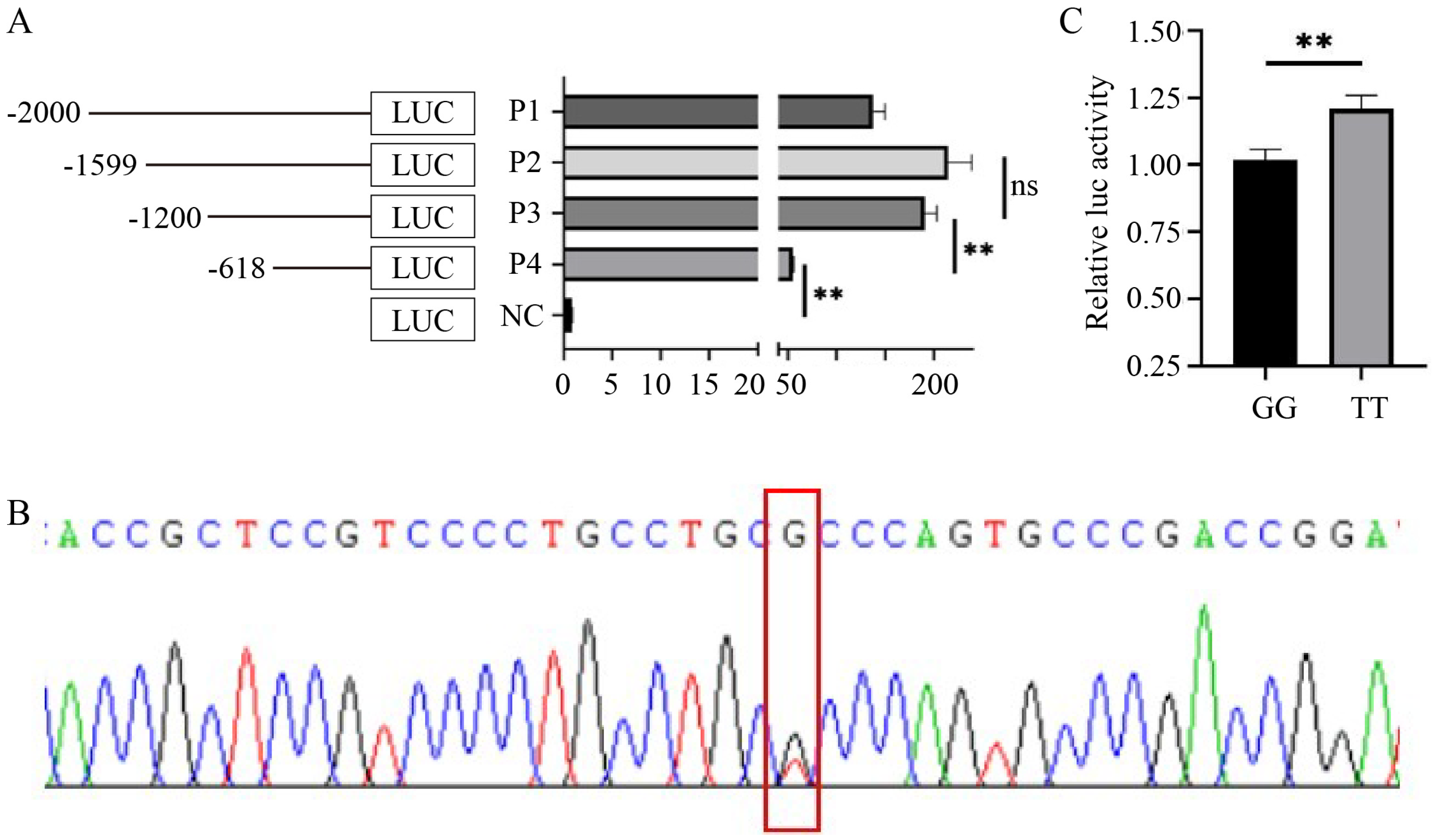 Animals 14 02721 g003