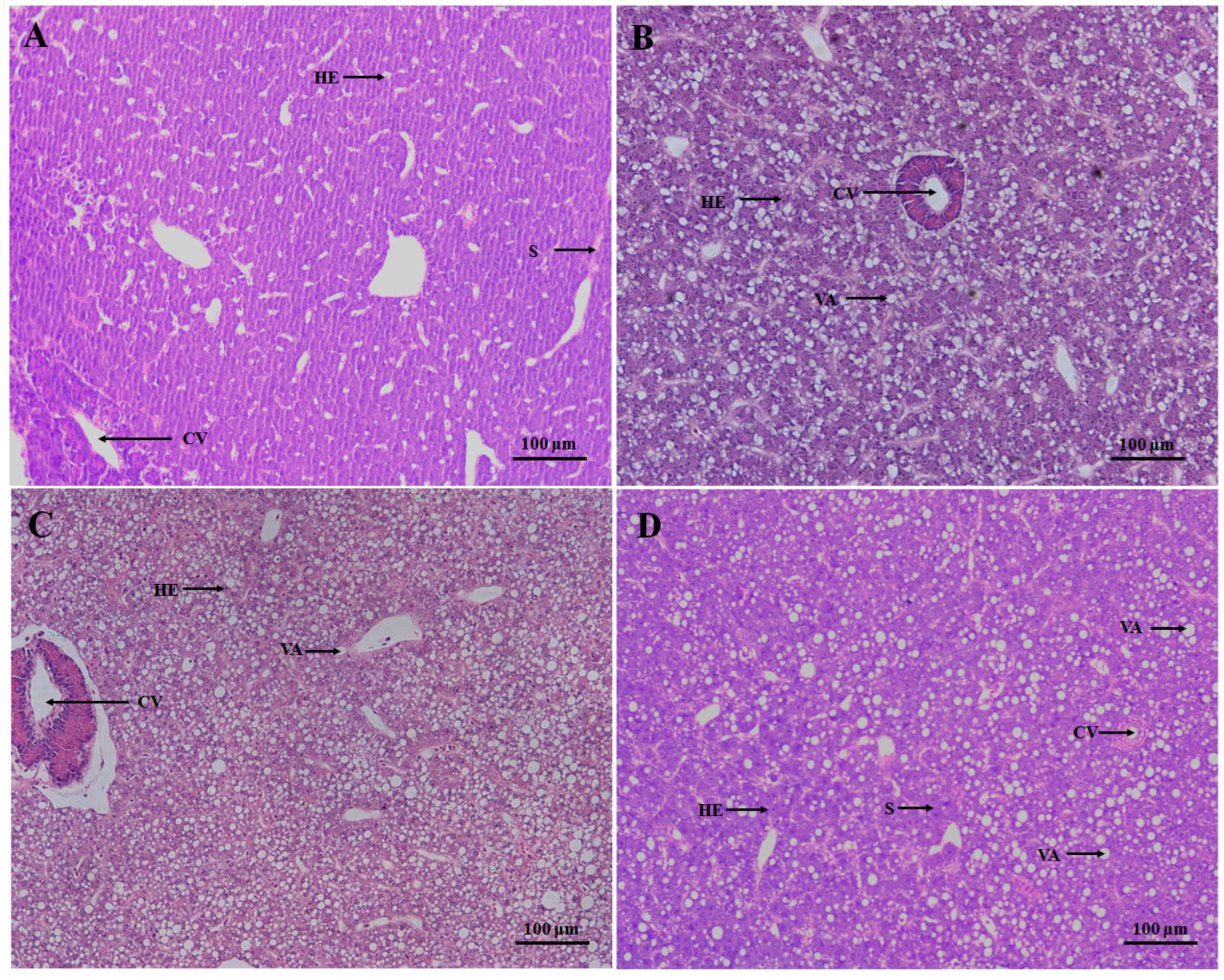 Animals 14 02734 g004