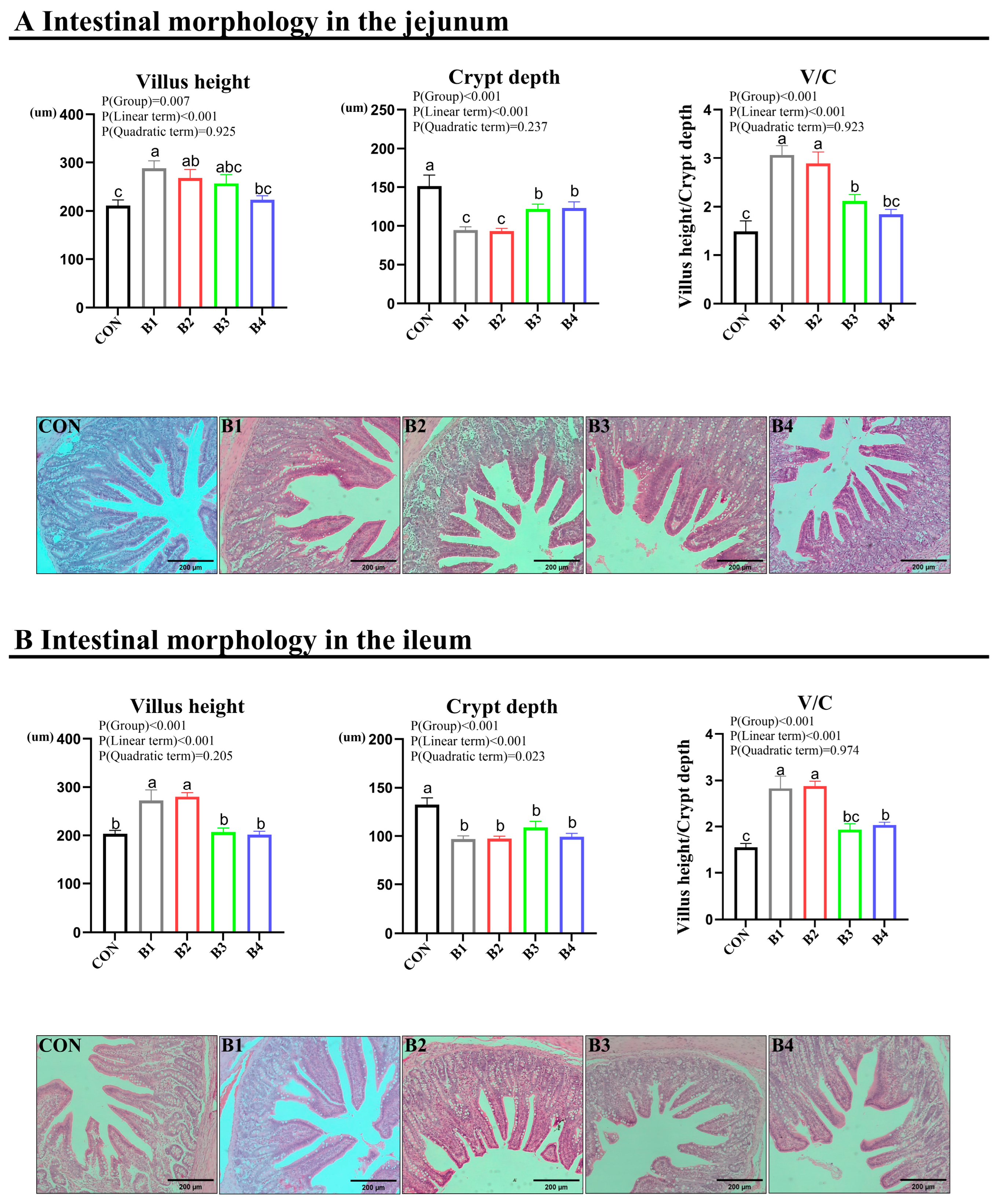 Animals 14 02776 g003
