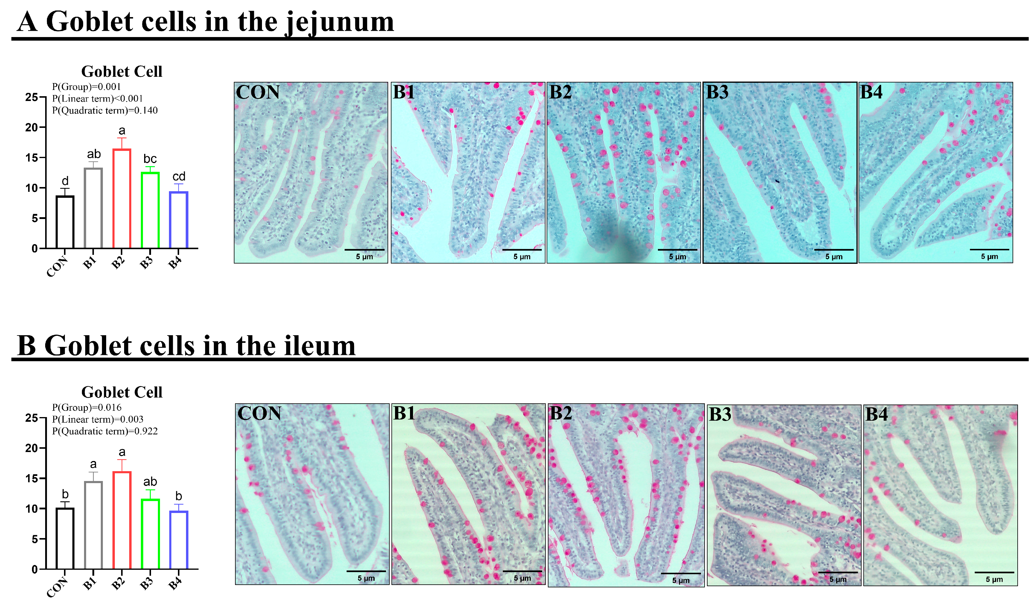 Animals 14 02776 g004