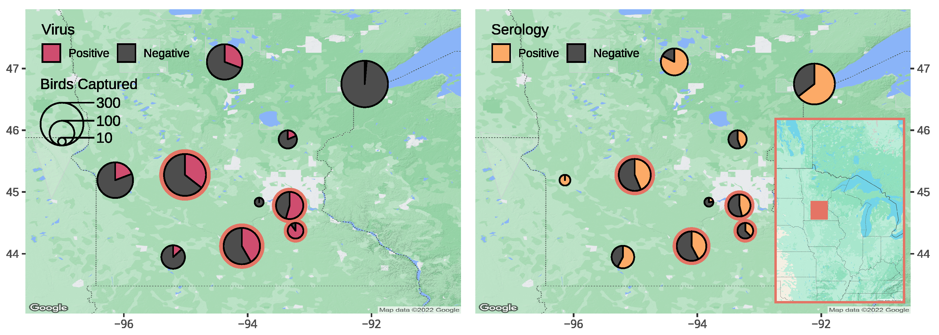 Animals 14 02781 g002