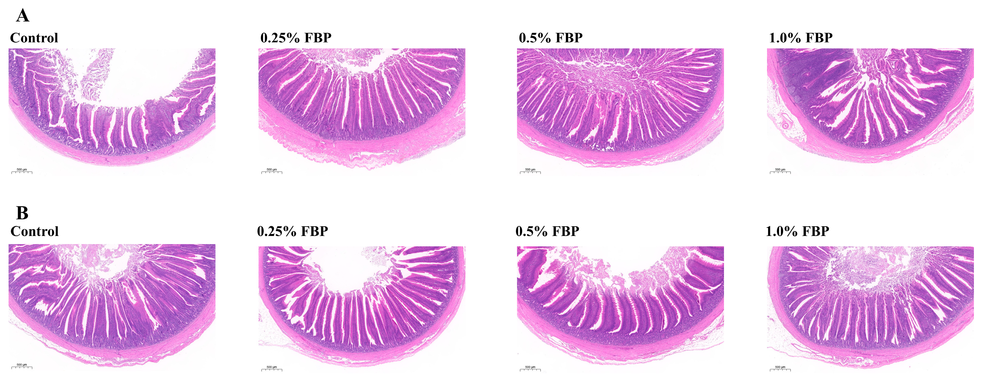 Animals 14 02786 g001