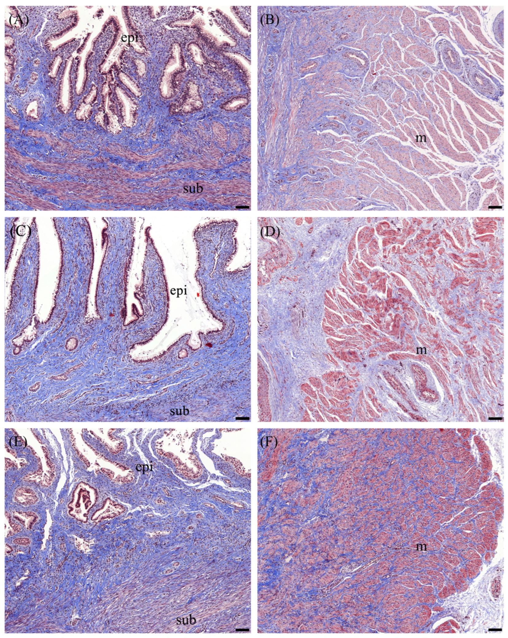 Animals 14 02793 g004