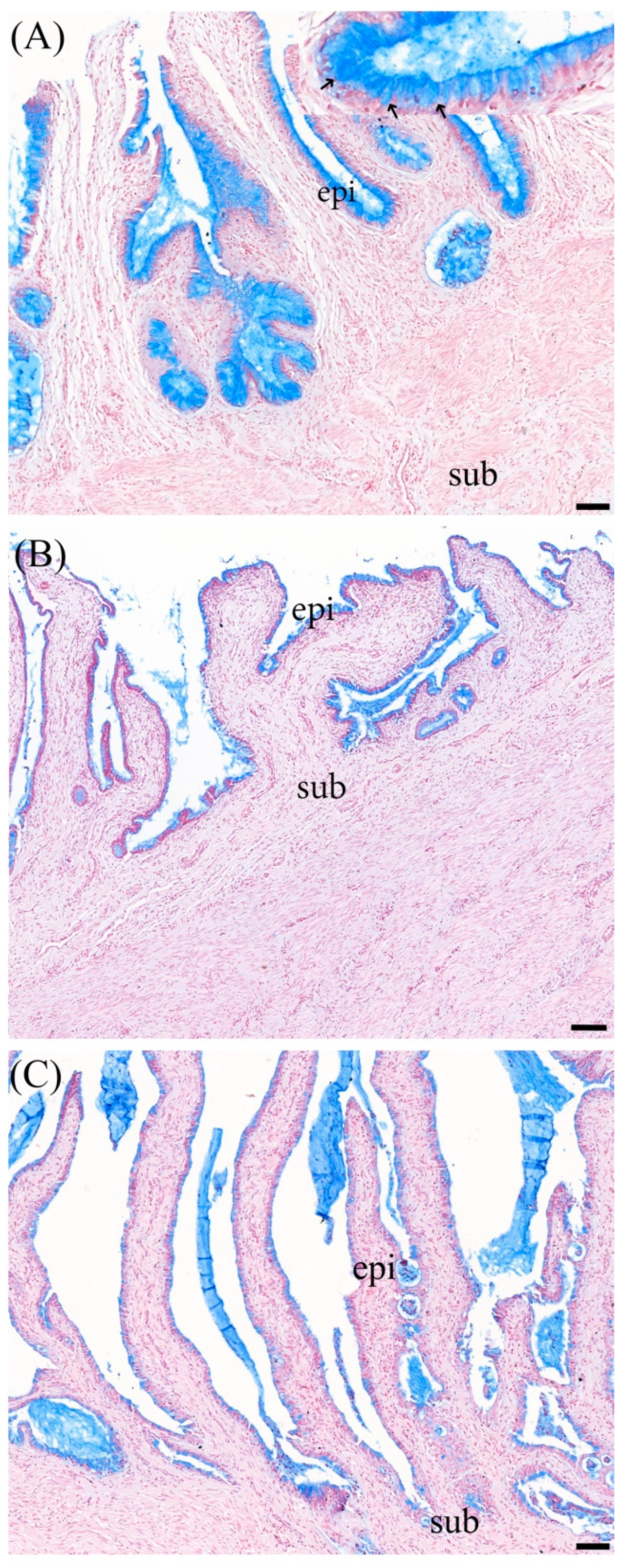 Animals 14 02793 g005