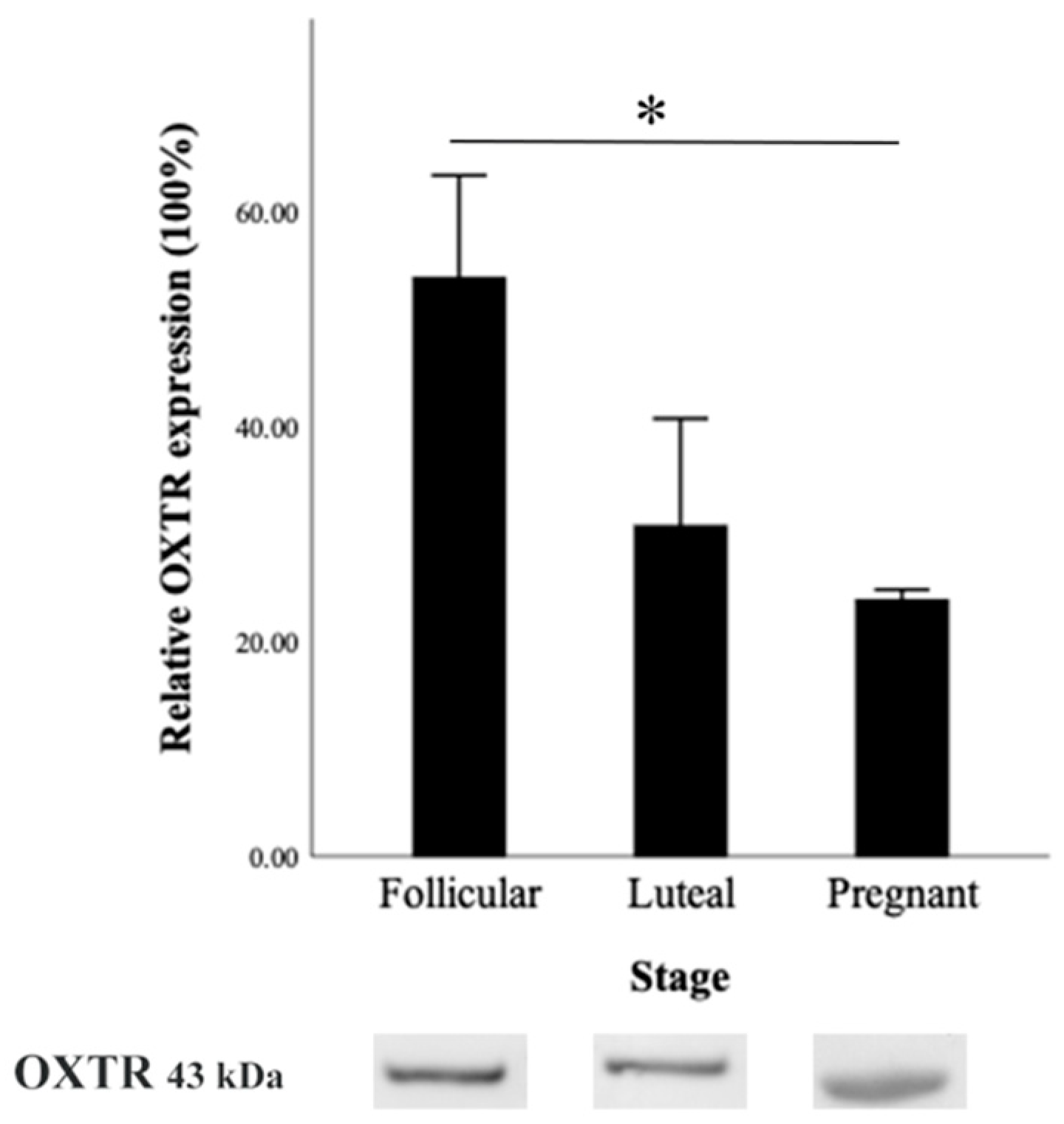 Animals 14 02793 g008