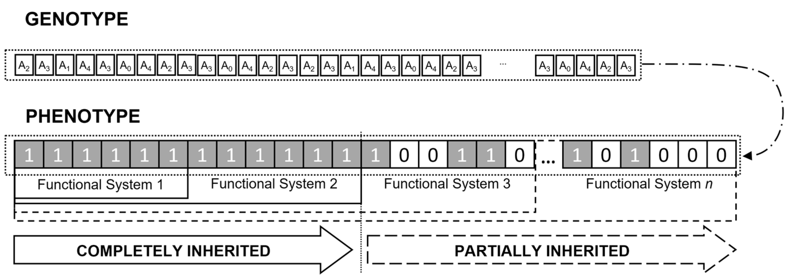 Animals 14 02804 g001