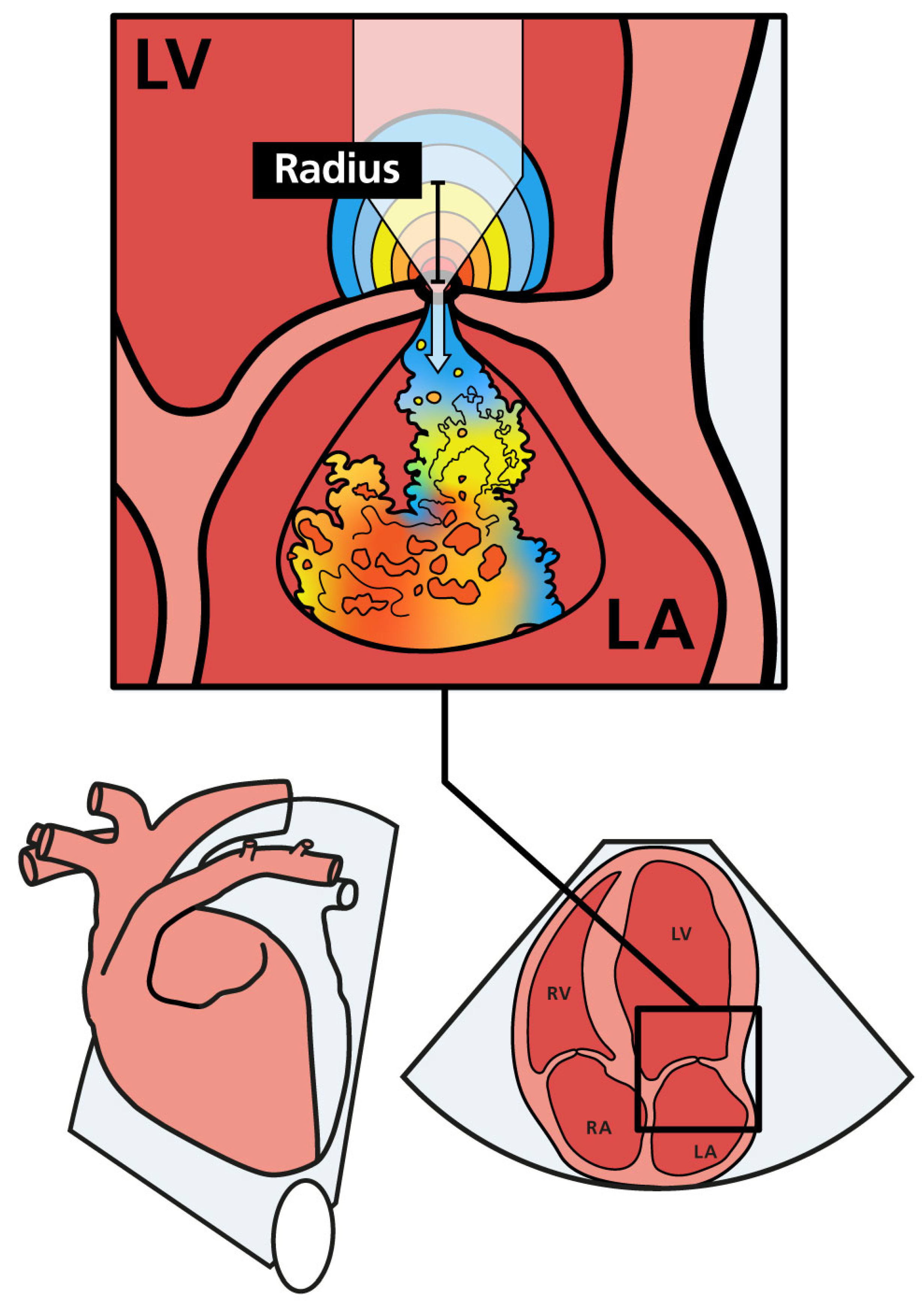 Animals 14 02805 g001