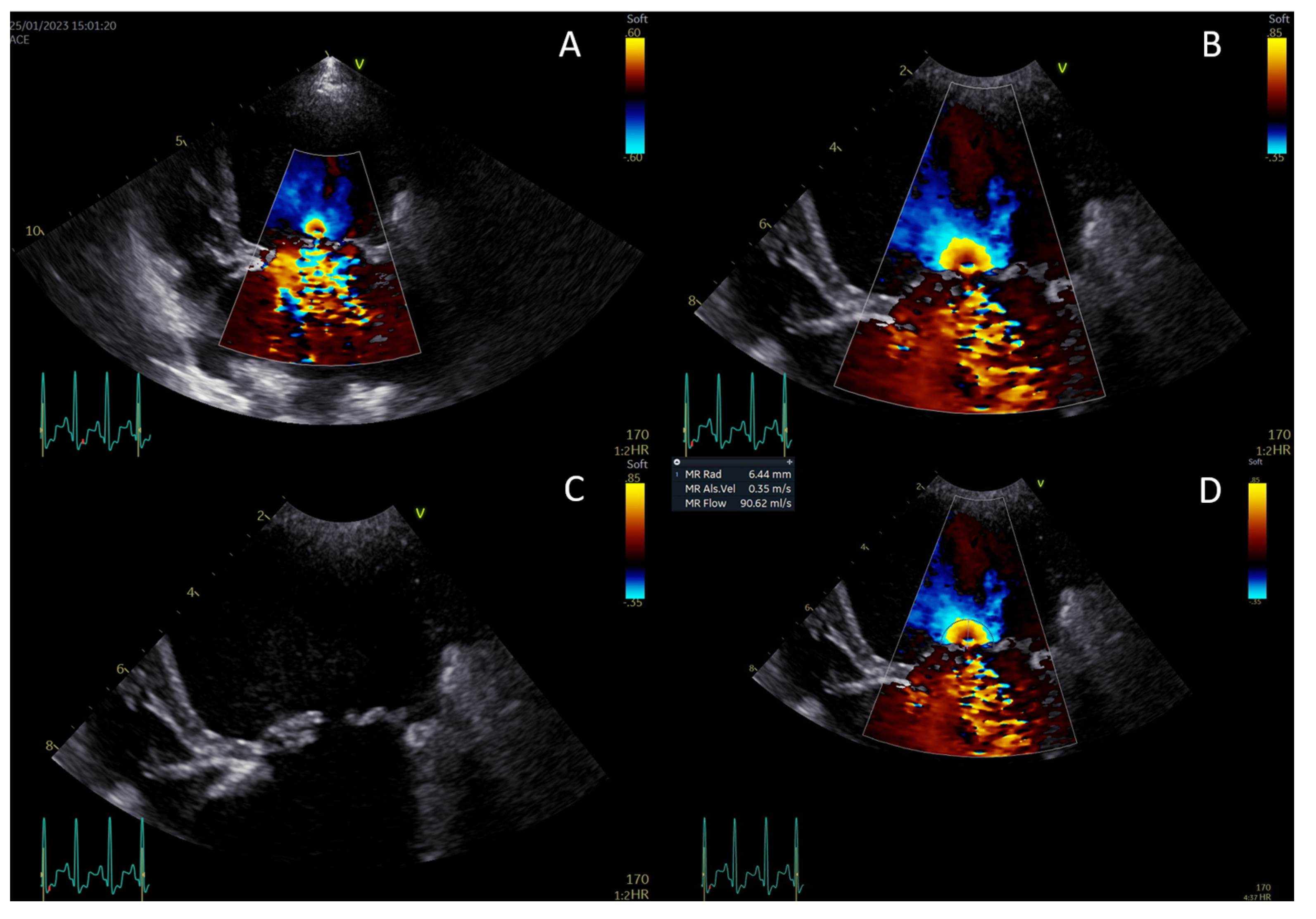 Animals 14 02805 g002