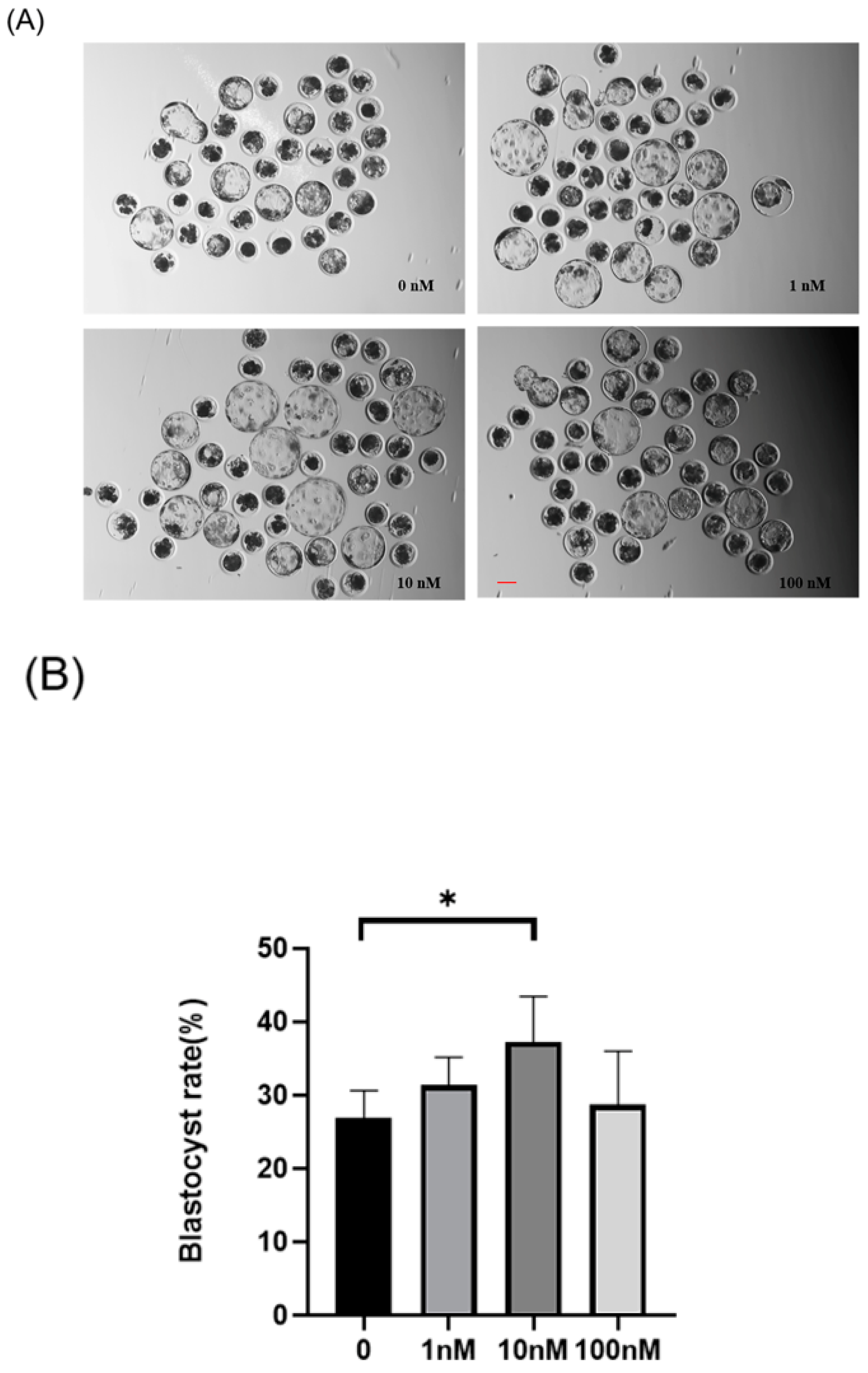 Animals 14 02806 g001a