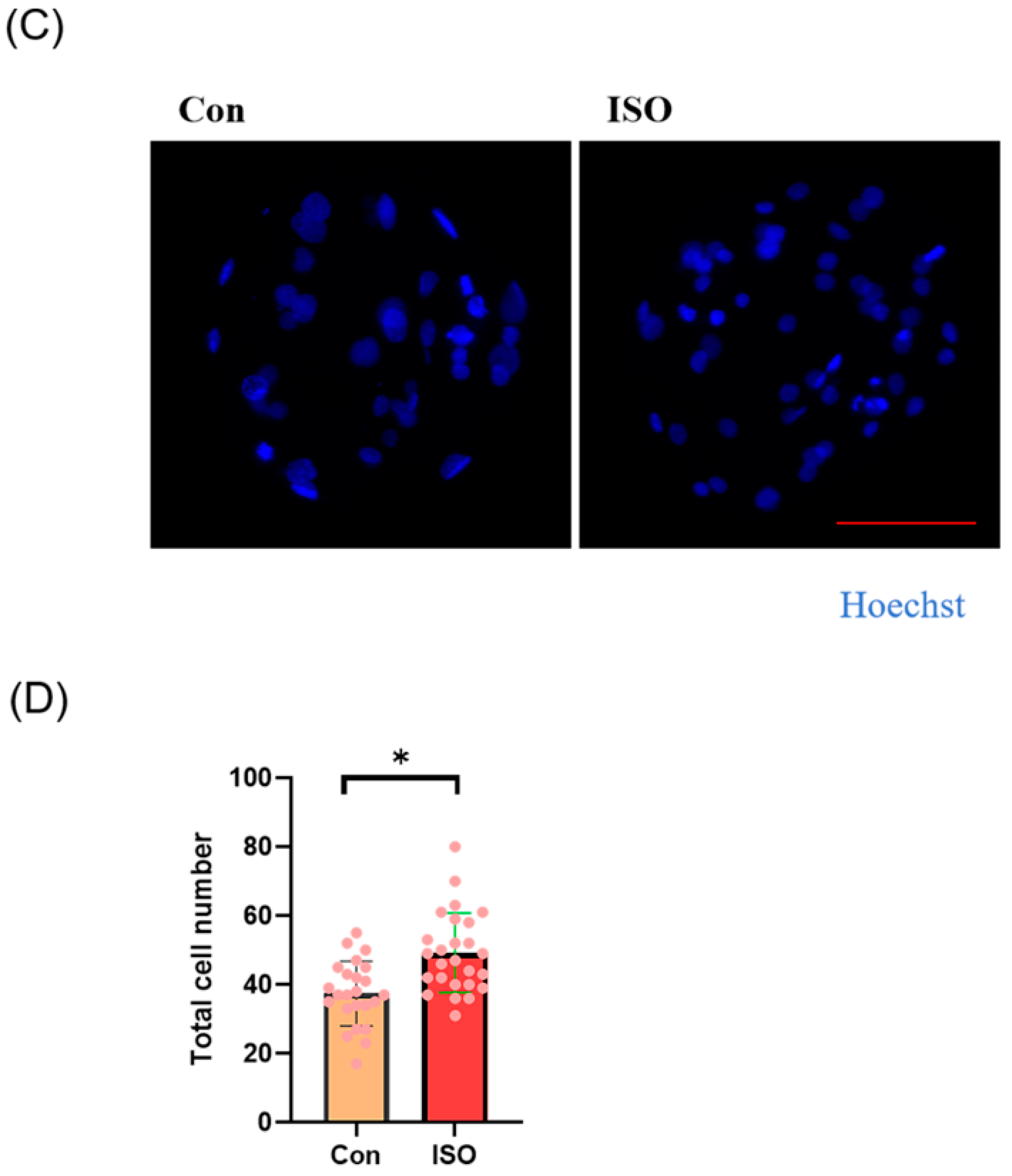 Animals 14 02806 g001b