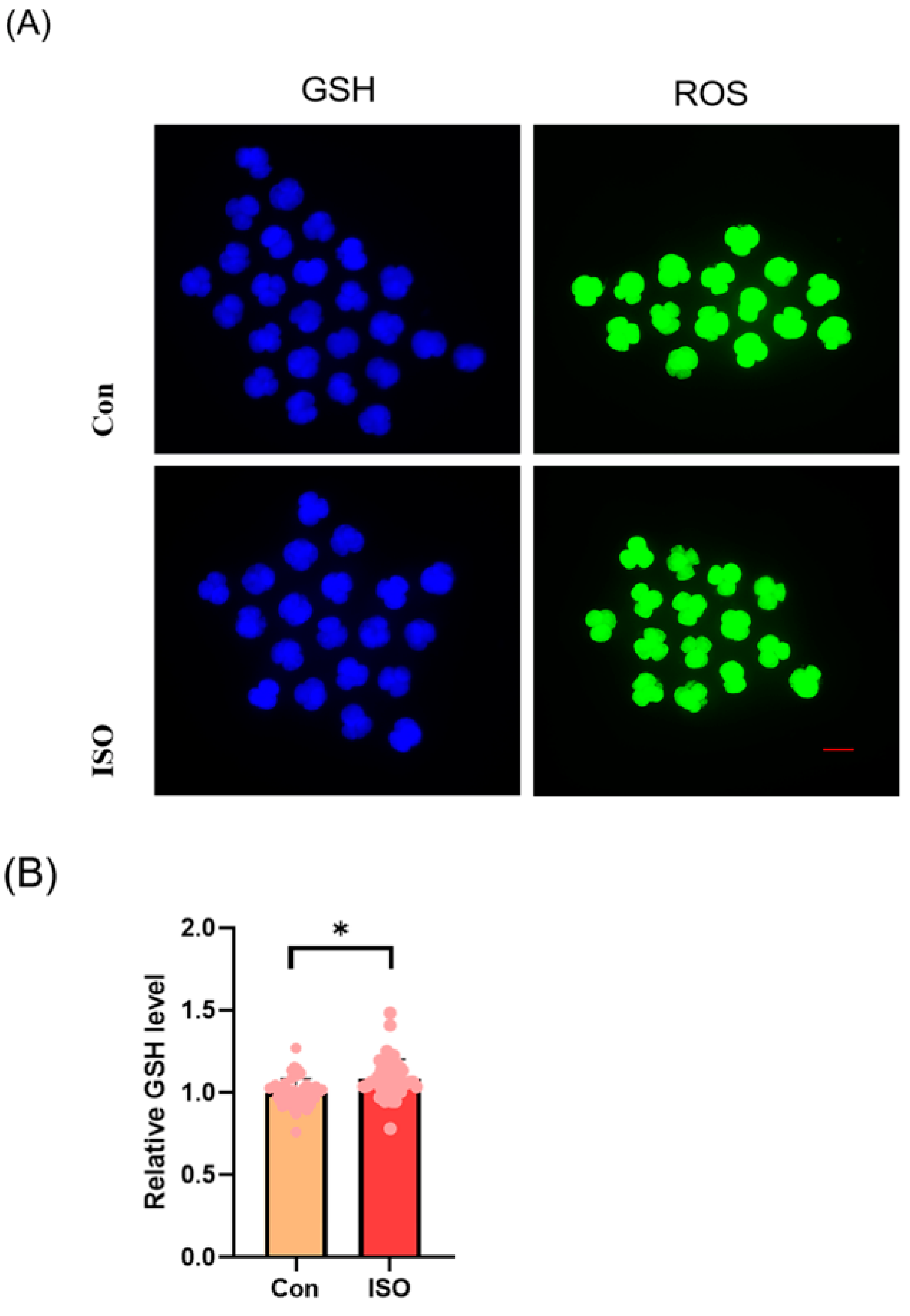 Animals 14 02806 g002a